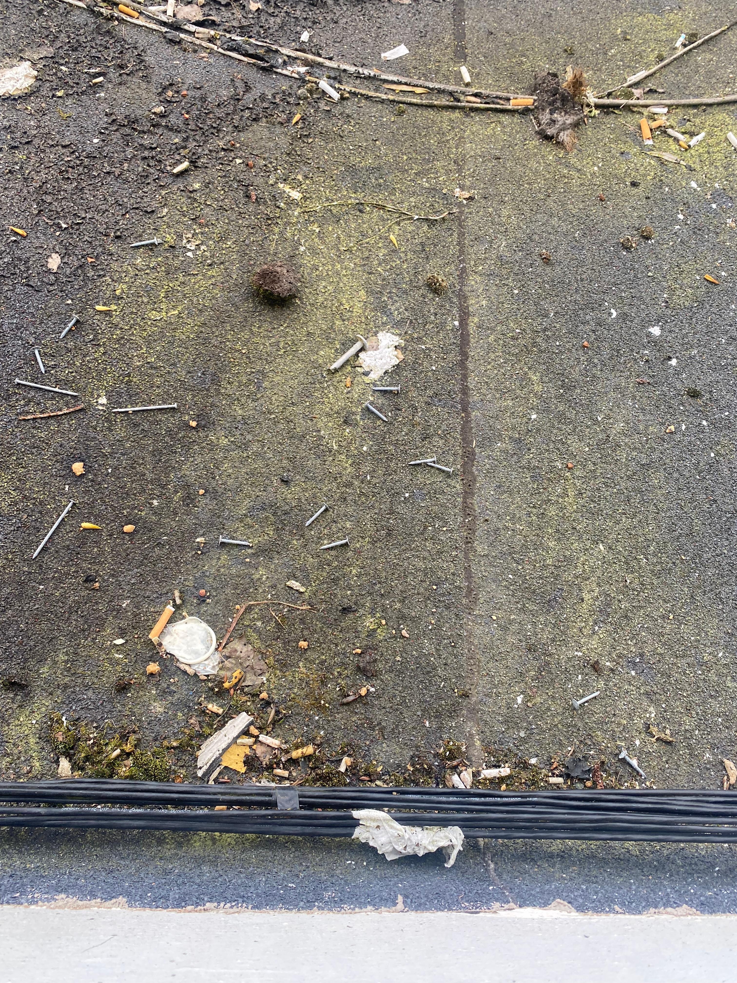 The view from the window