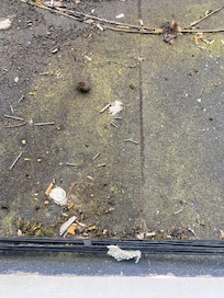 The view from the window