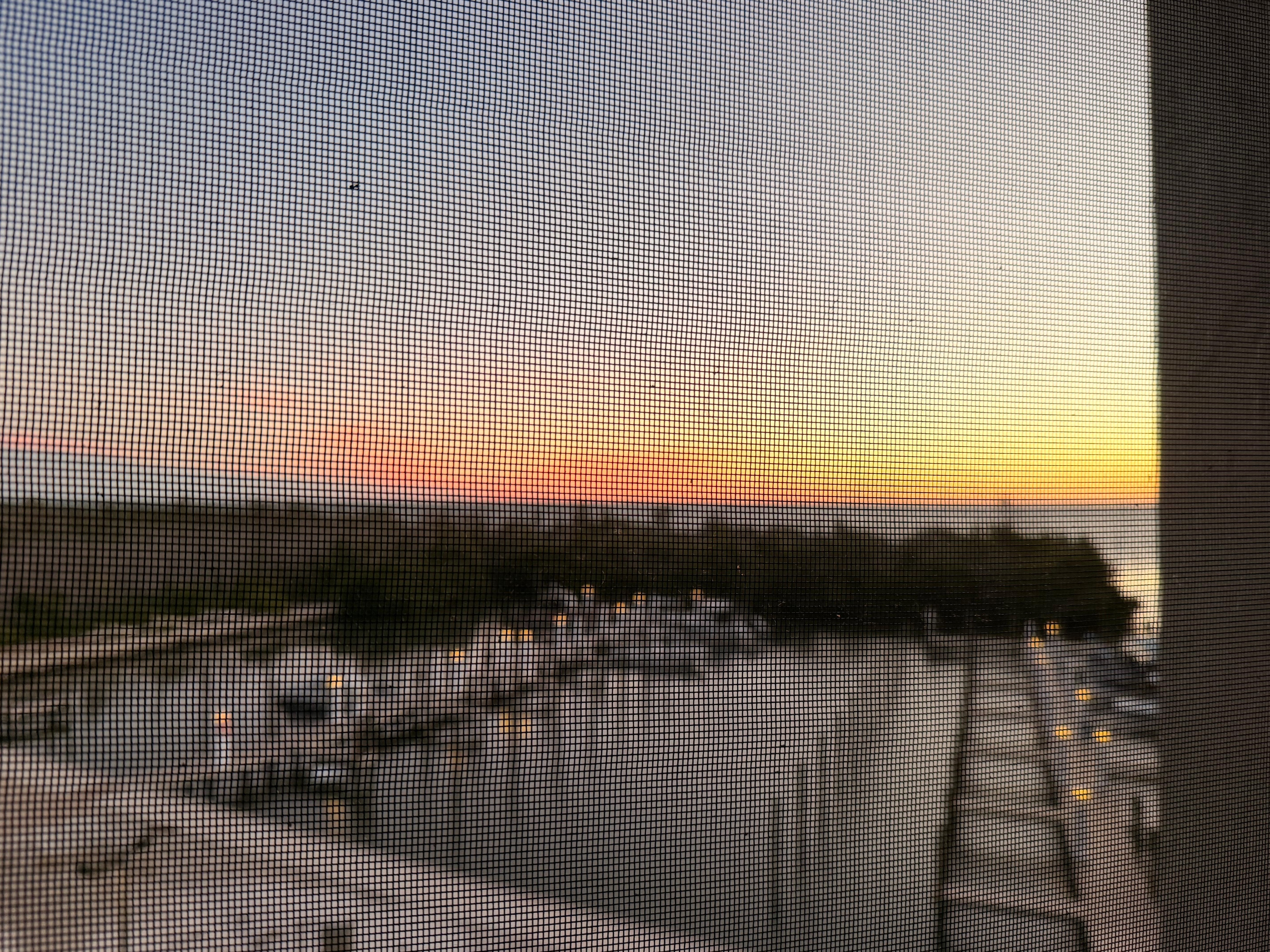 View from the patio. 