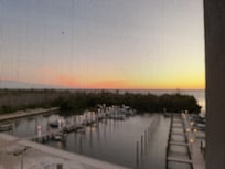 View from the patio.