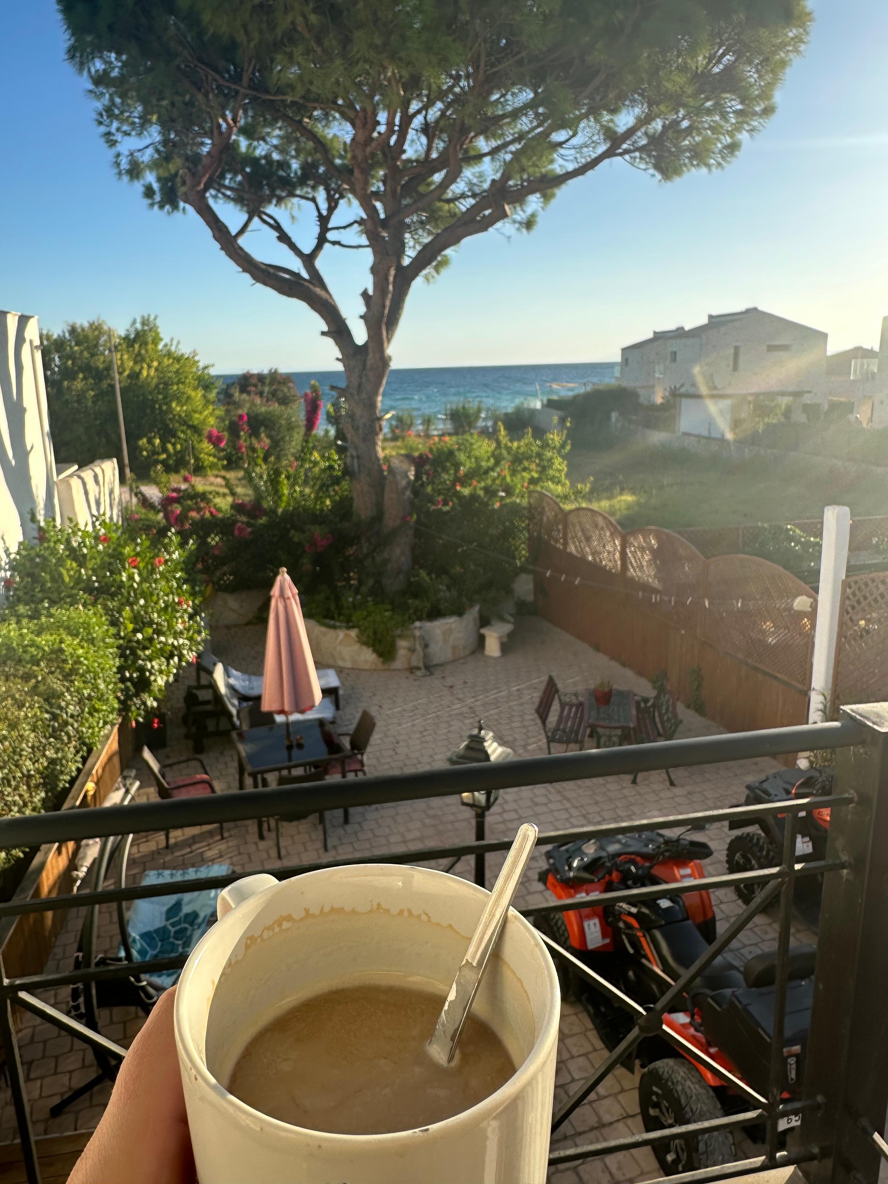 Morning views from the room.