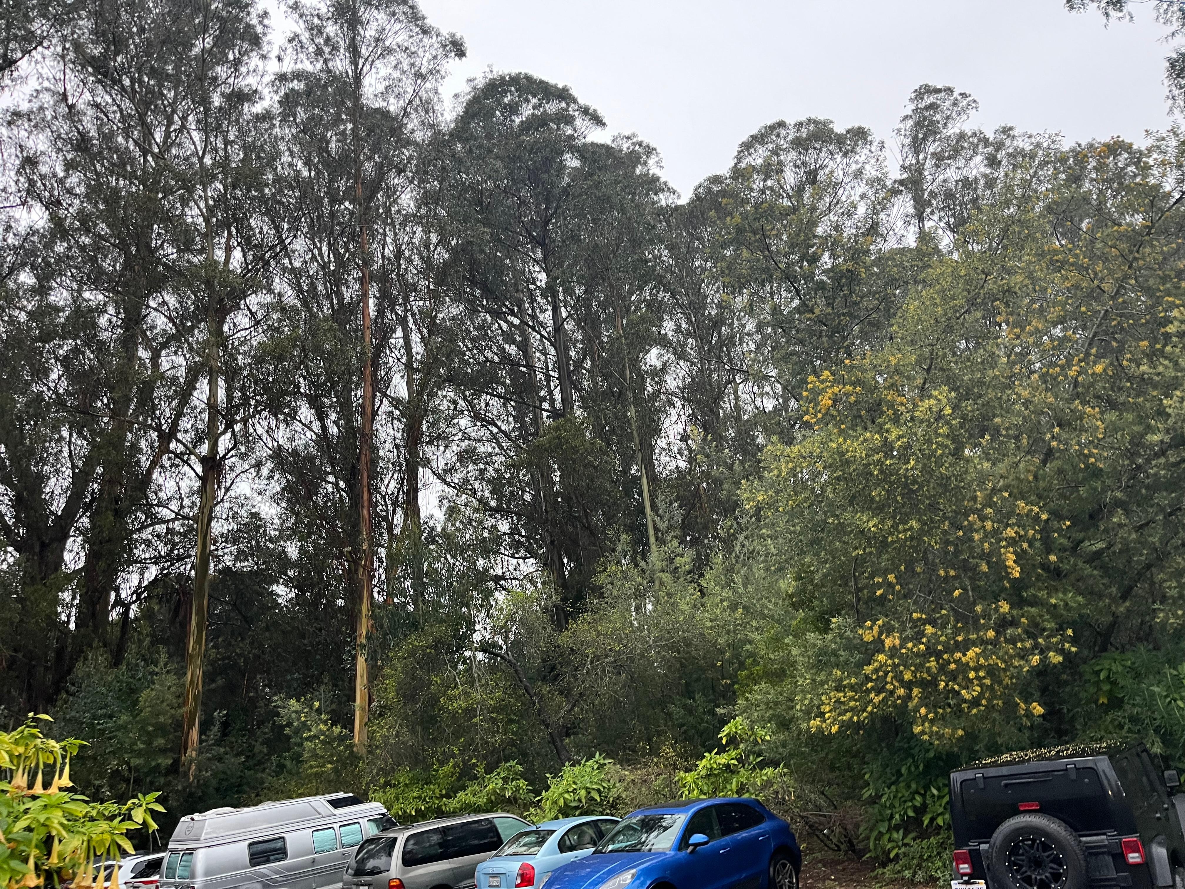 We stayed at the northernmost wing, back side. 