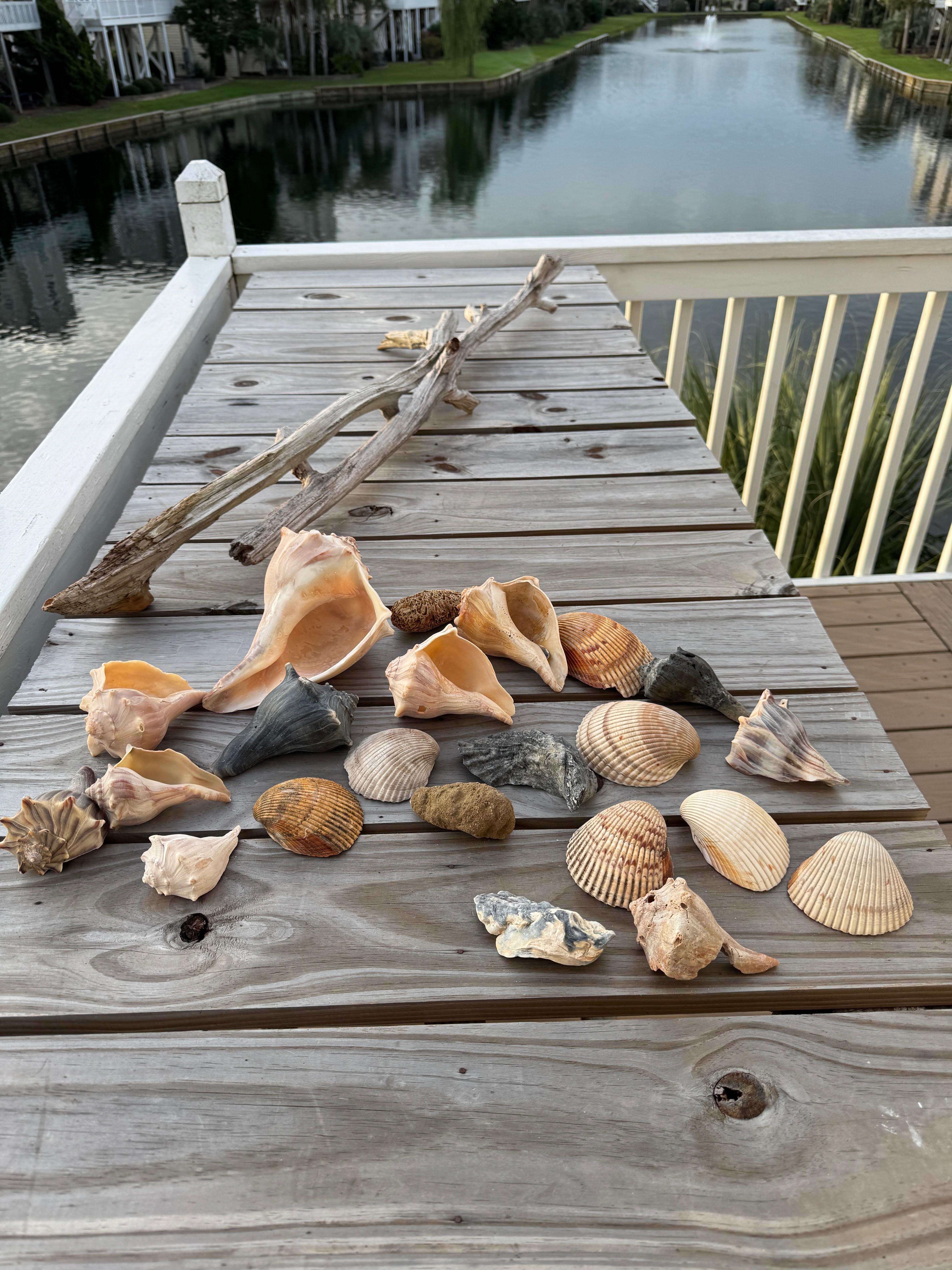 Shelling after Hurricane Erin. 