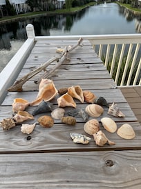 Shelling after Hurricane Erin.