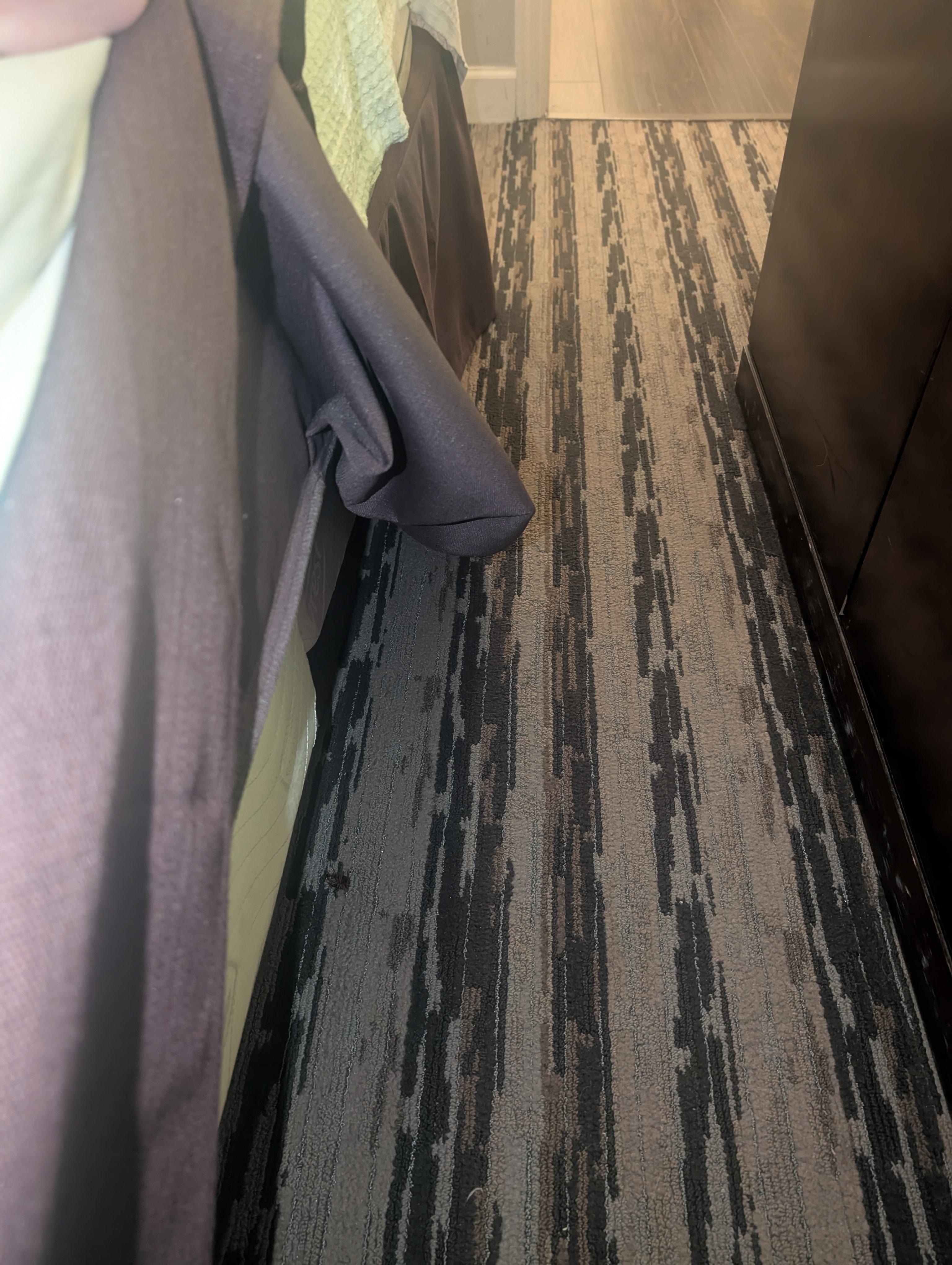 Picture of the roaches in the room