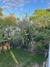 The cactus tree bloomed while there and the mango tree was so cool to have on property as well.