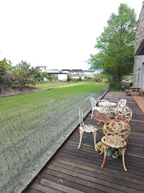 旁邊就是水稻田