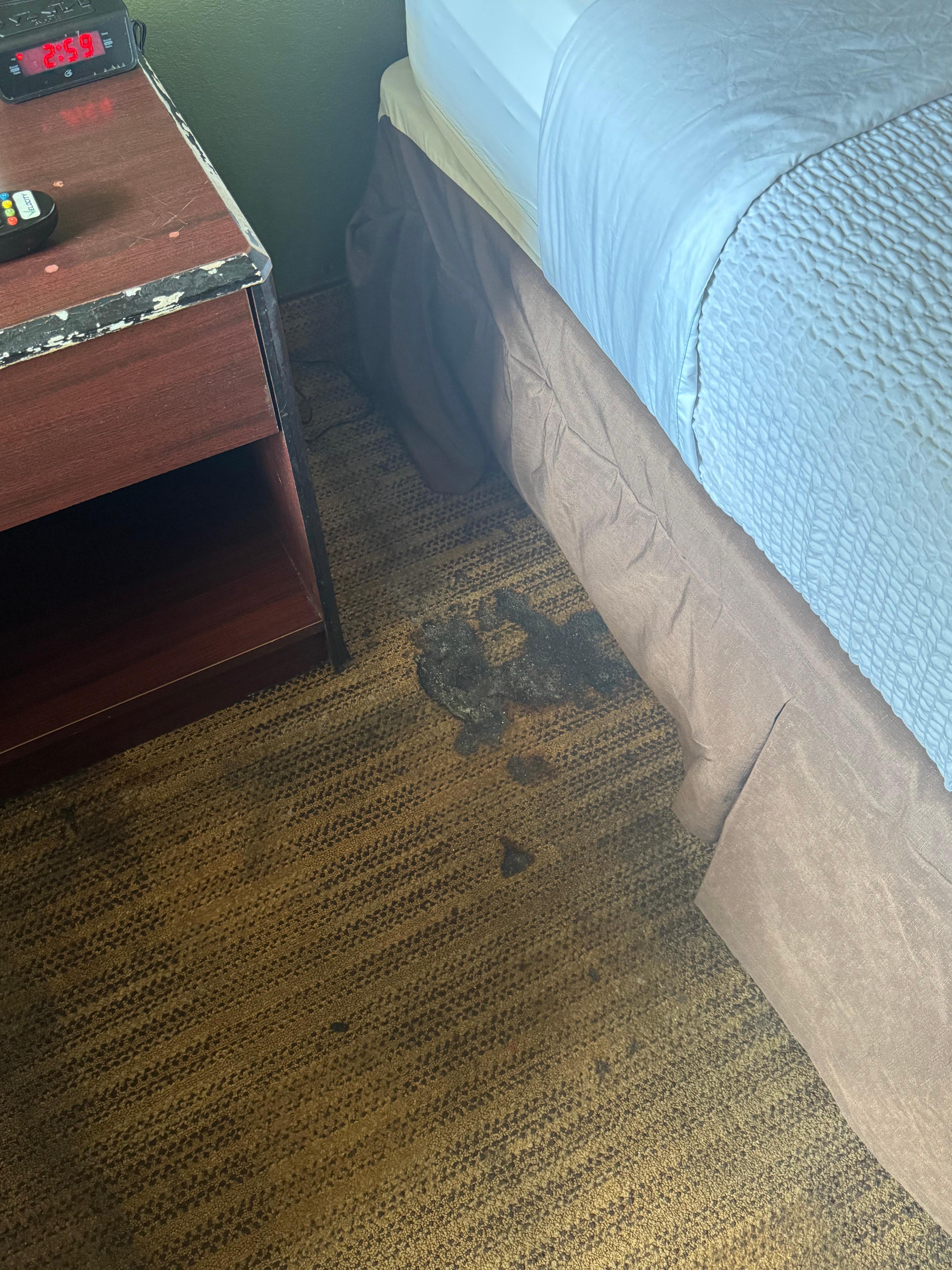 Burn marks on carpet