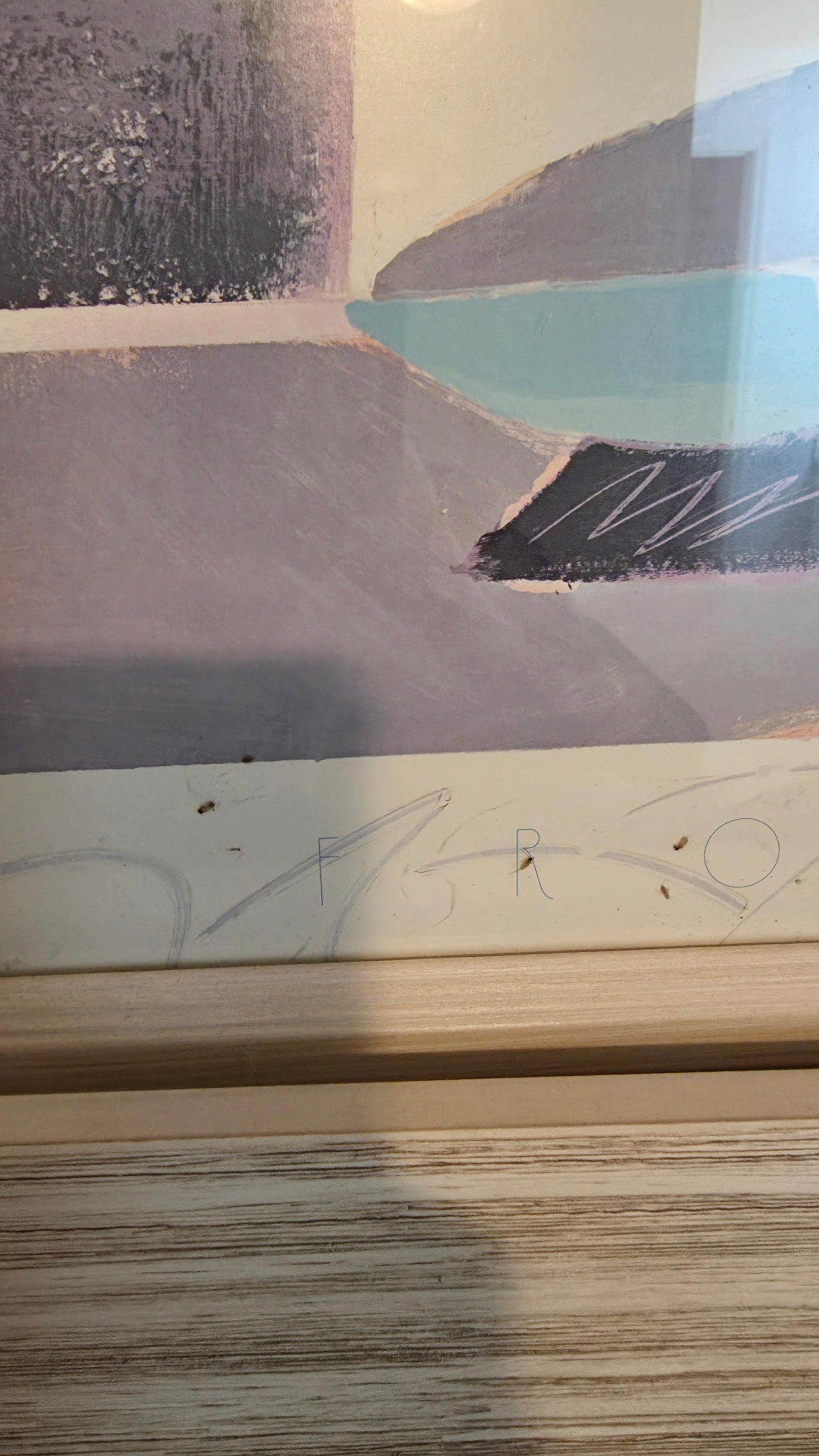 Bugs inside picture frame