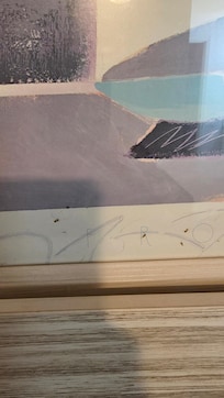 Bugs inside picture frame