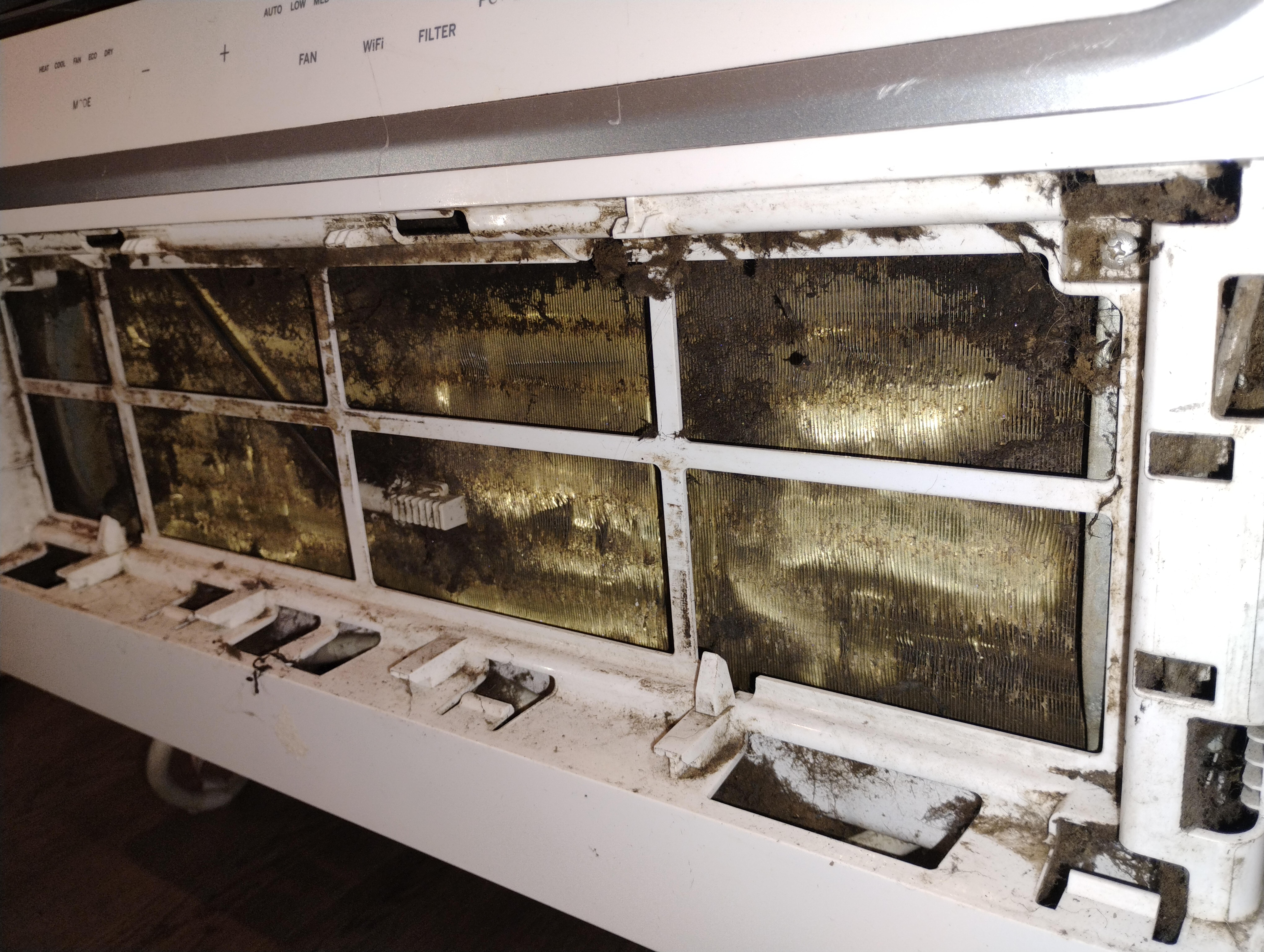 This is the heater slash air conditioner the filter and inside the filter on the cooling fins of the machine look like they hadn't been cleaned ever