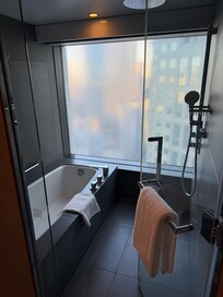 Shower/bathtub