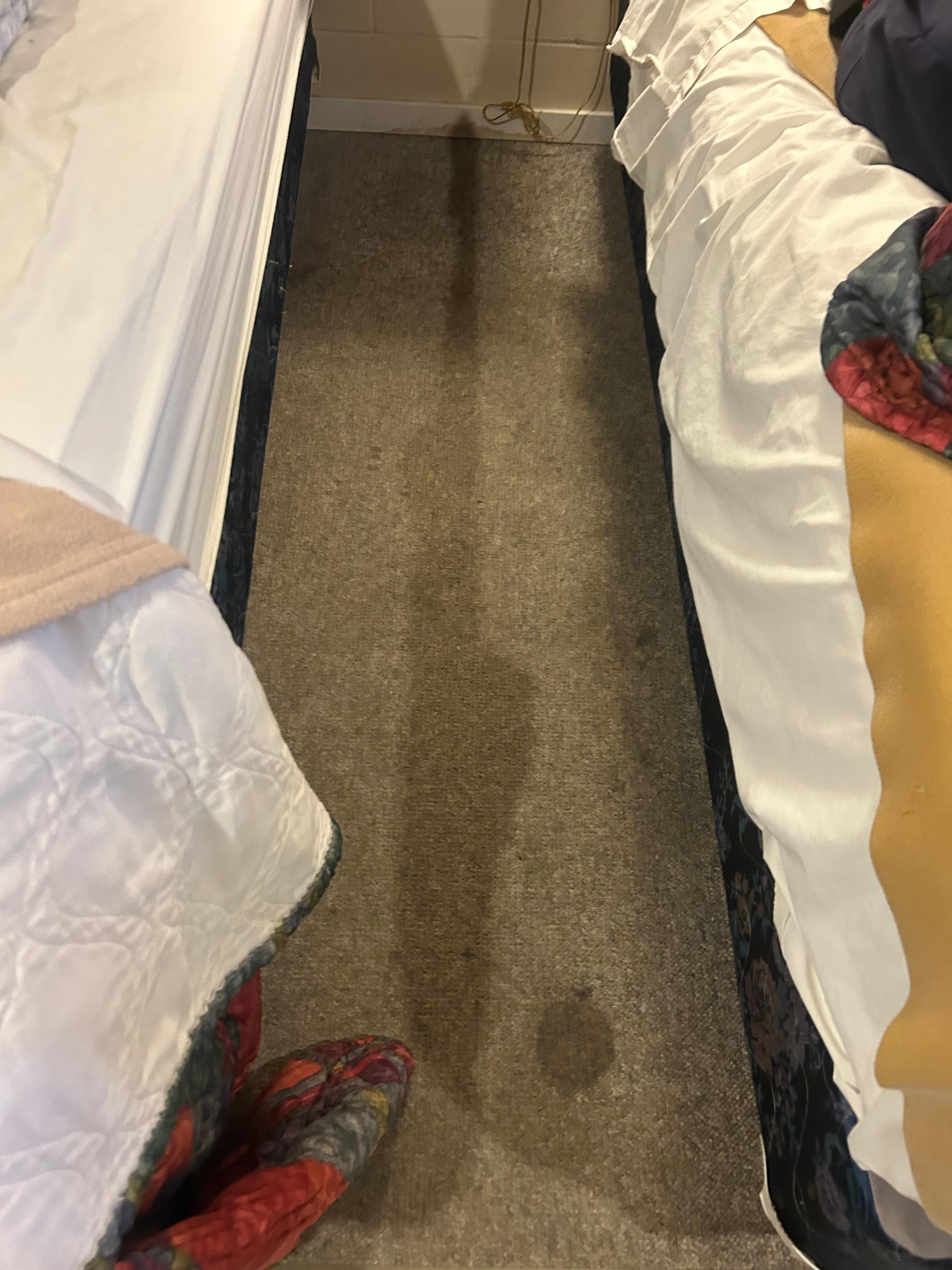 Carpets stained 