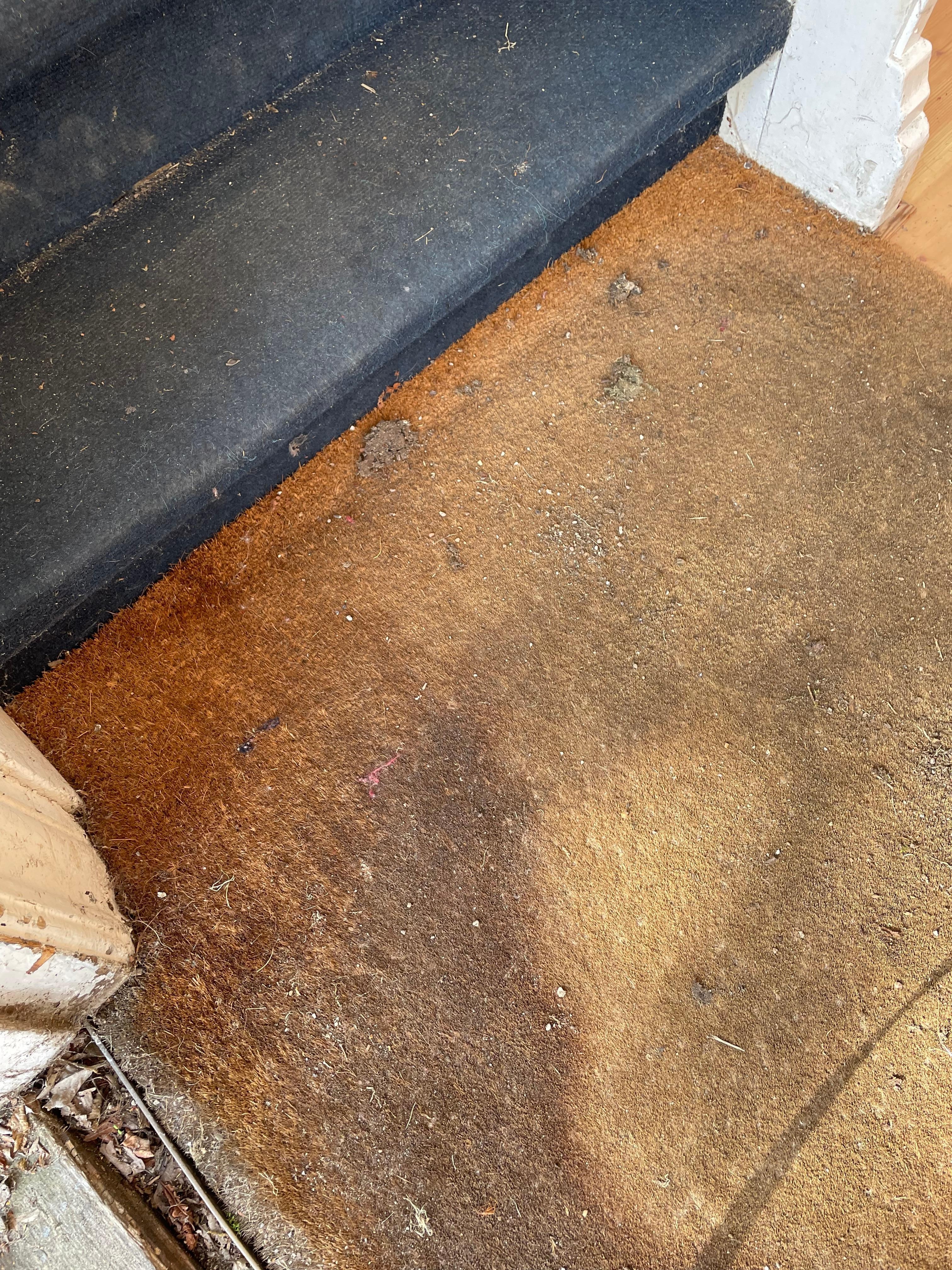 Måtte ved indgangsdør til hotelgang