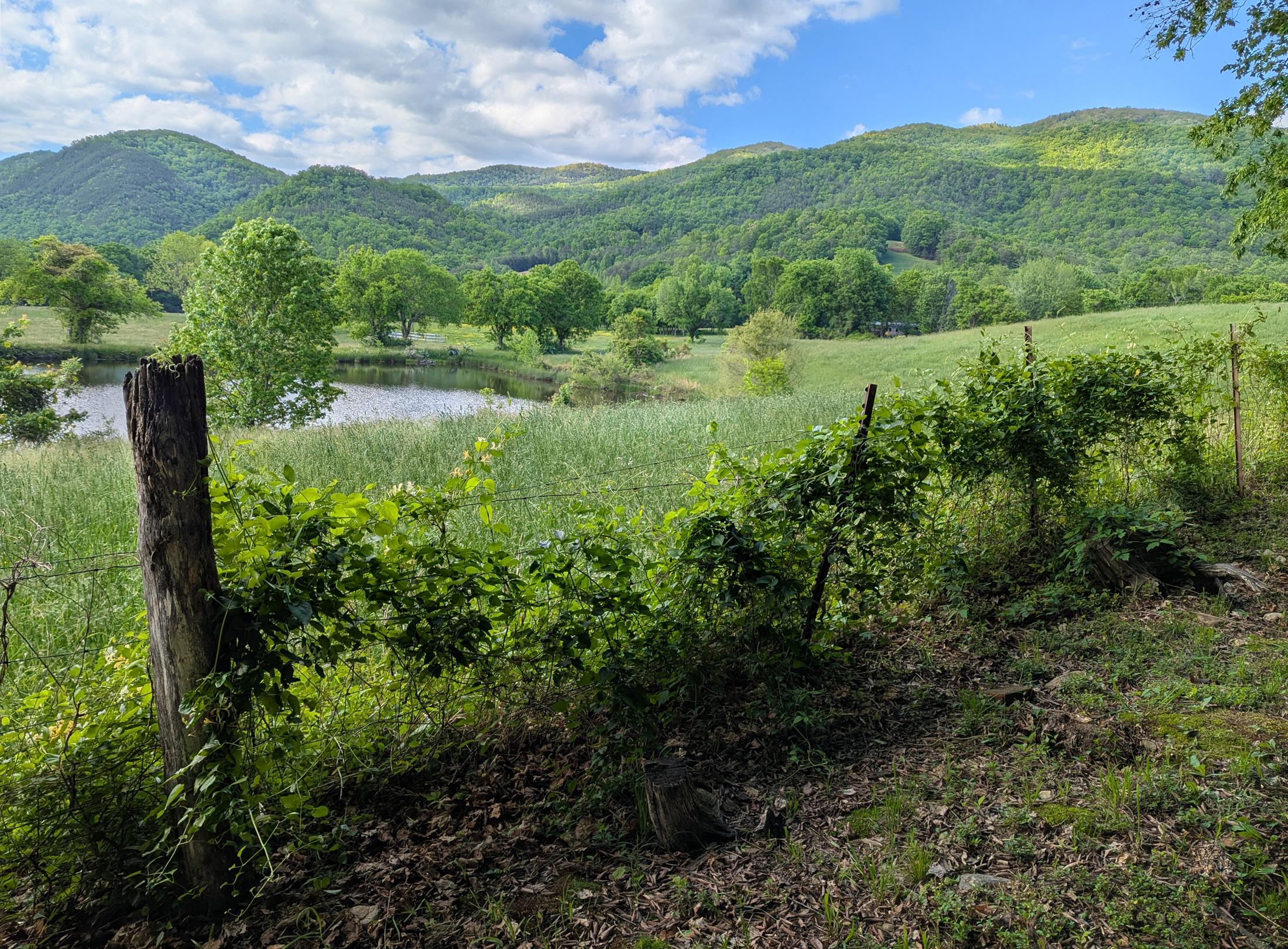Pond & mountains view