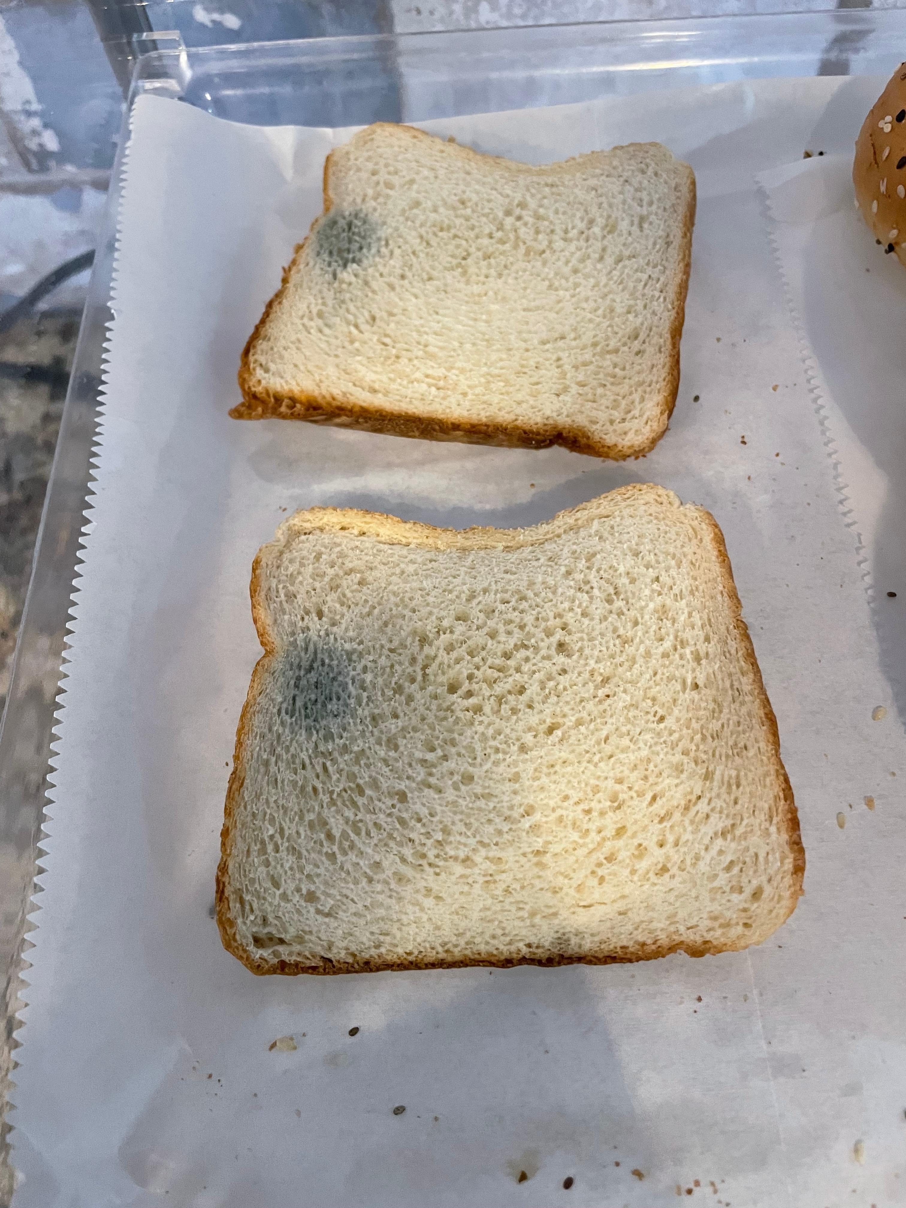 My daughter was vomiting as she already ate one bread without check.