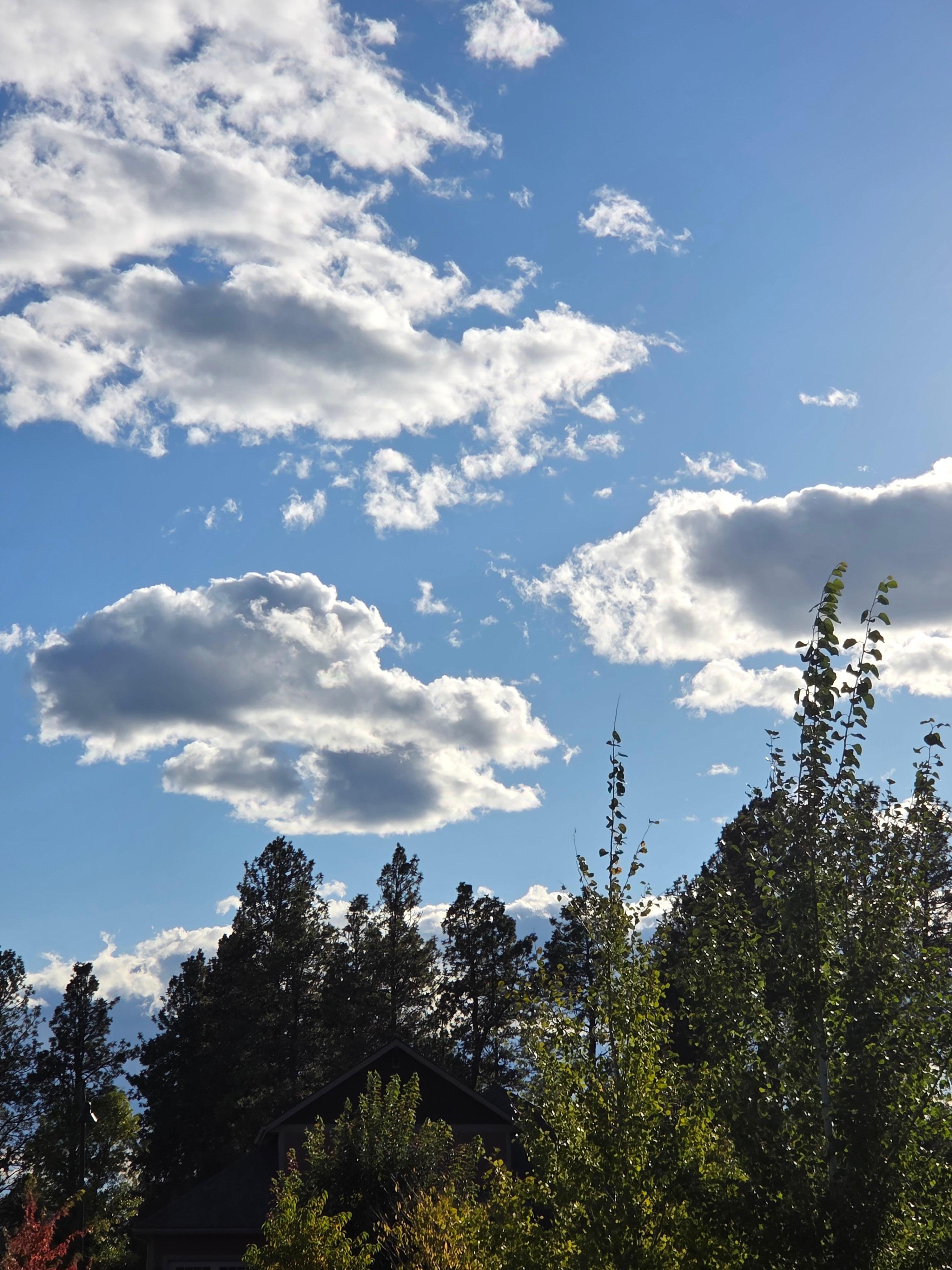 Forest/Mountain Views with breeze from covered back deck porch where we spent every evening watching the sun go down, stars and satellites and enjoying  the Canadian breeze  and Solitude