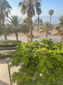 View from the terrace