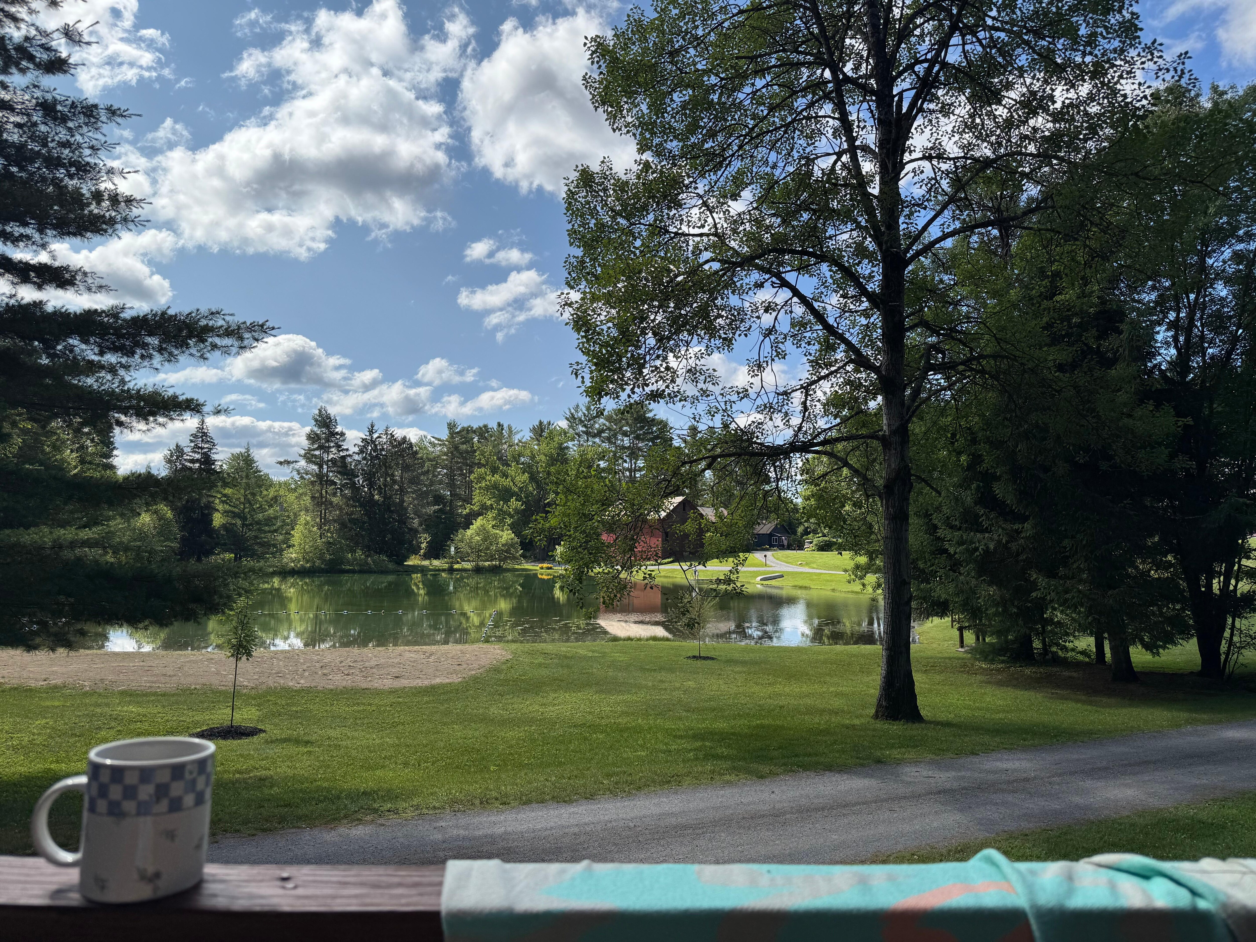 View of the pond from the cabin porch. 