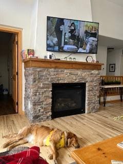 Dazi enjoying the fireplace!