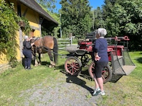 Préparation de la balade en hippomobile