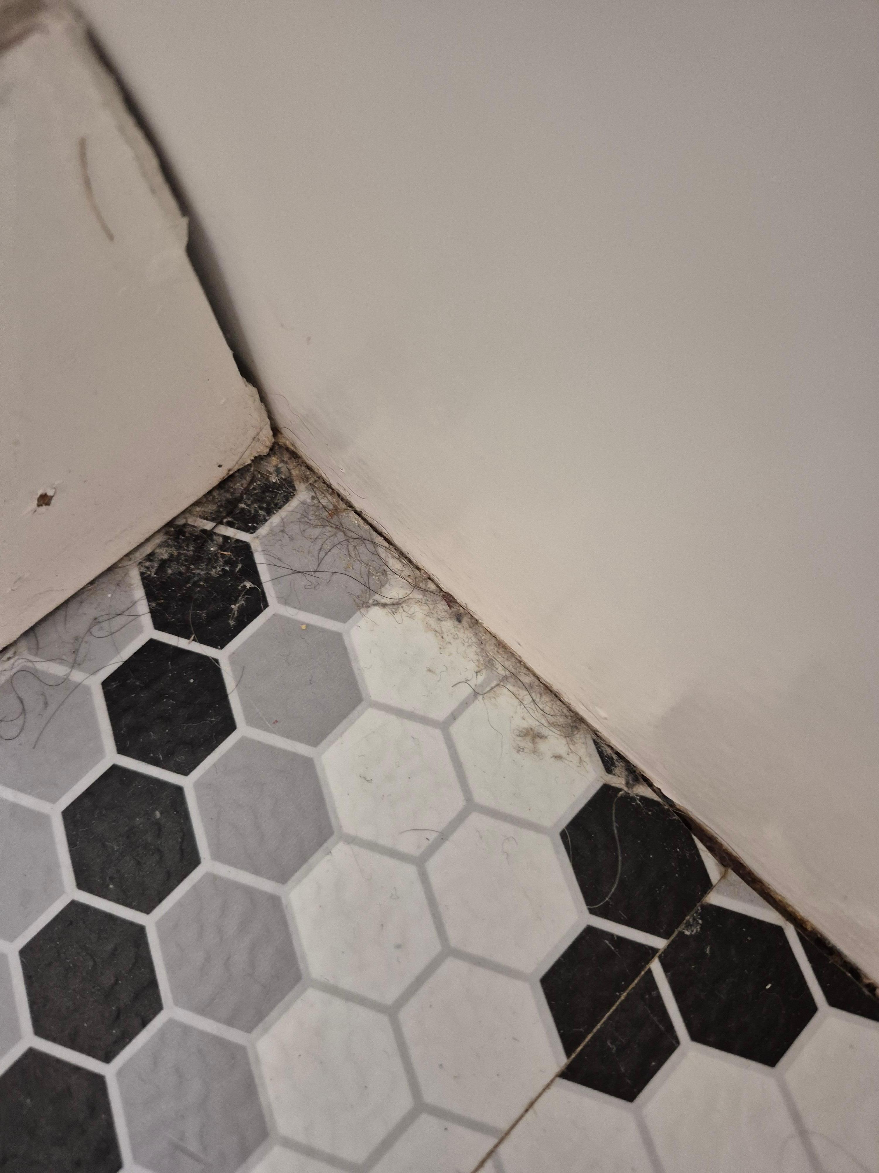 Downstairs bathroom floor had hair and diet in the corner