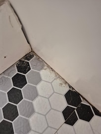 Downstairs bathroom floor had hair and diet in the corner