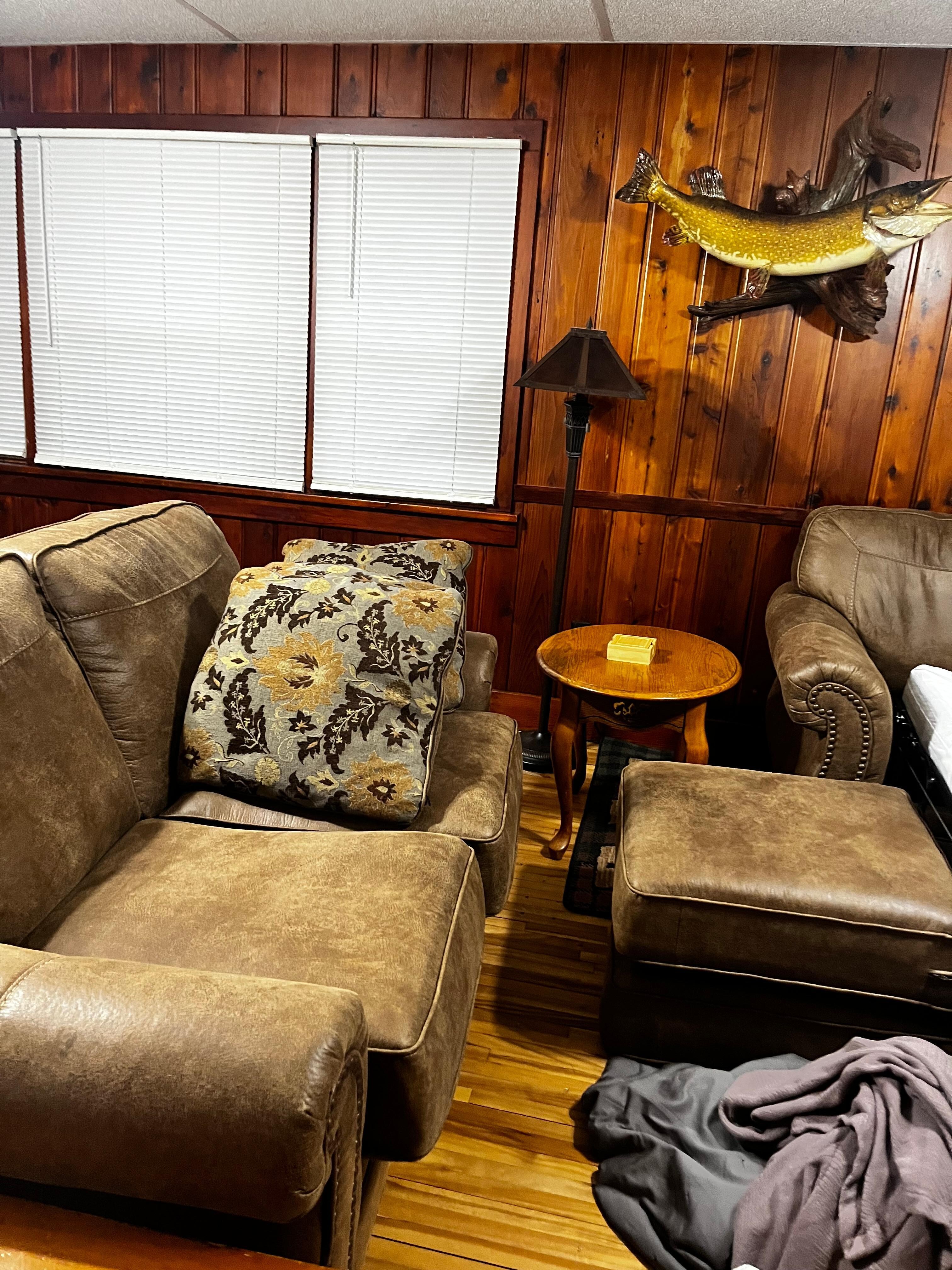 Living room, after we stripped hideaway bed to depart