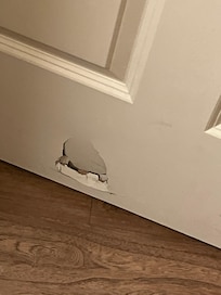 Bathroom door