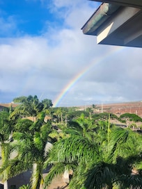 Rainbows every day.