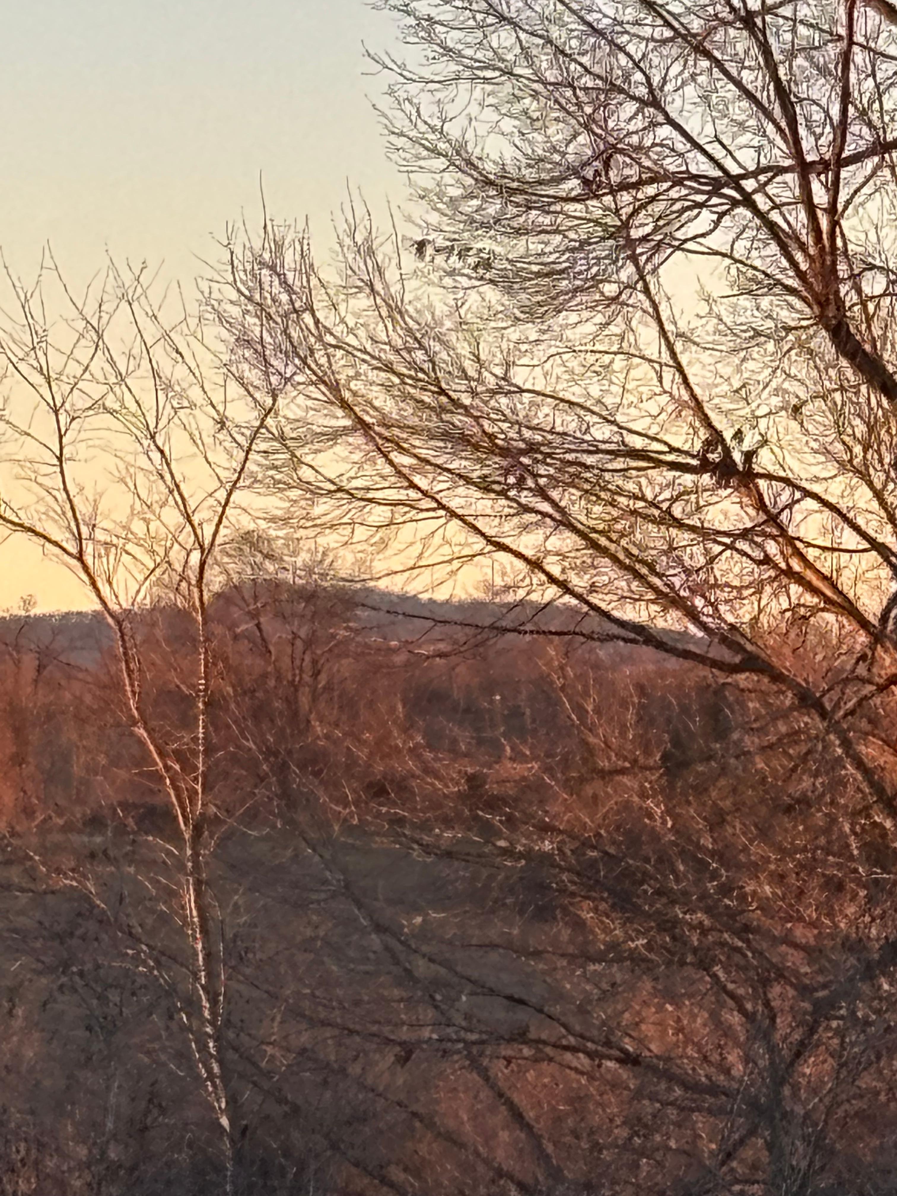 View from upstairs master bedroom. 