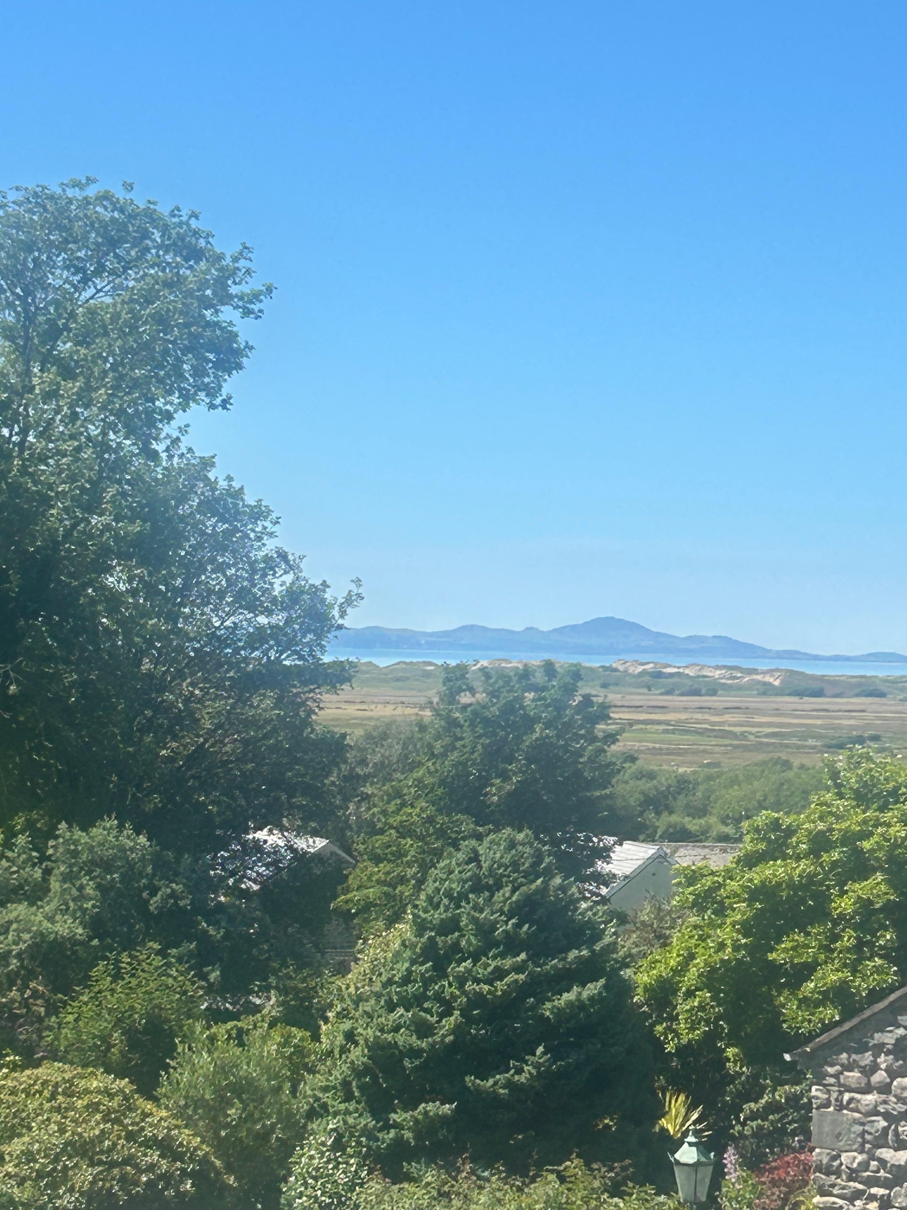 View from the balcony 