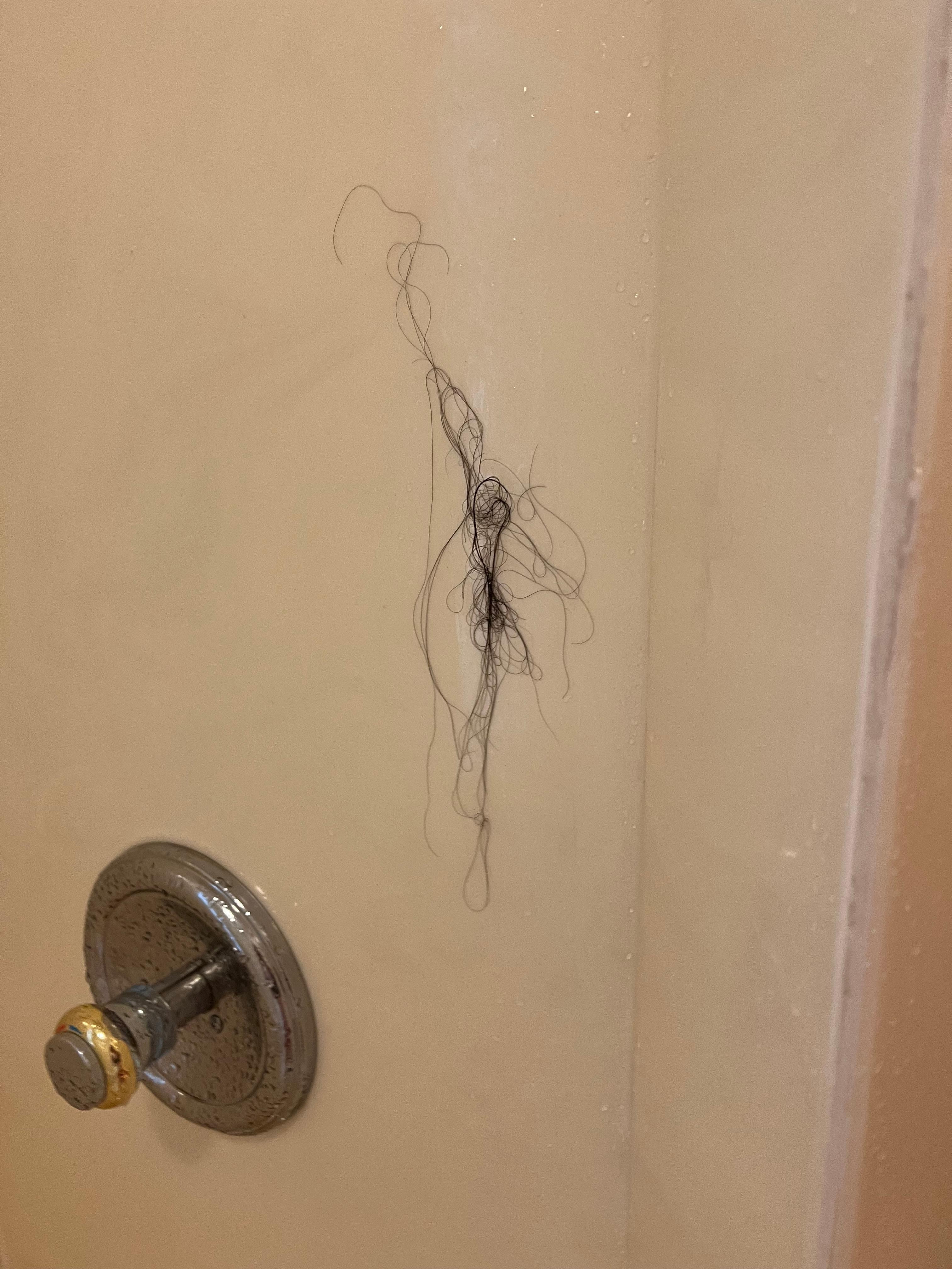 Hair on the shower wall!  ICK