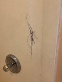 Hair on the shower wall! ICK