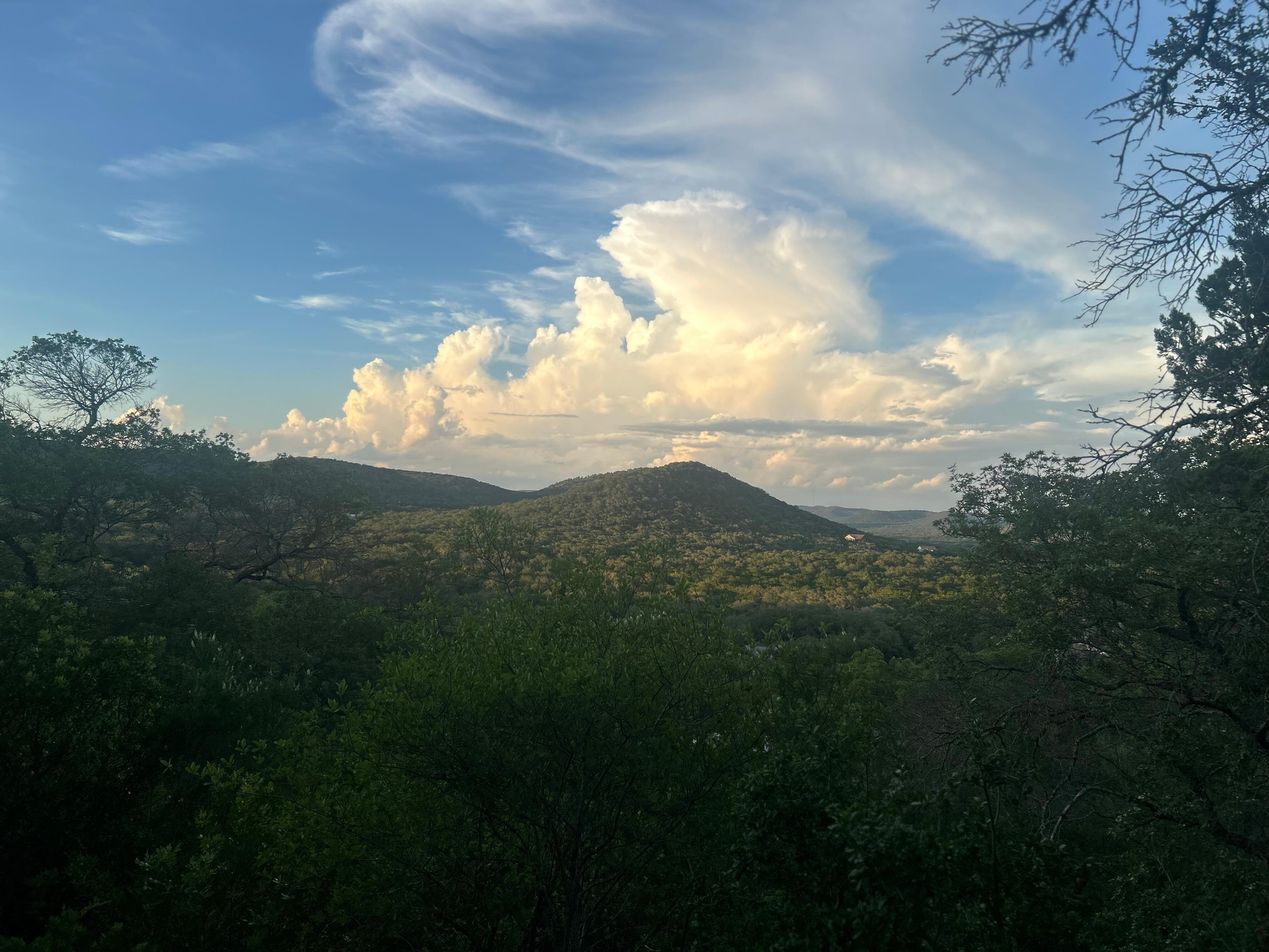 View from hiking trails.