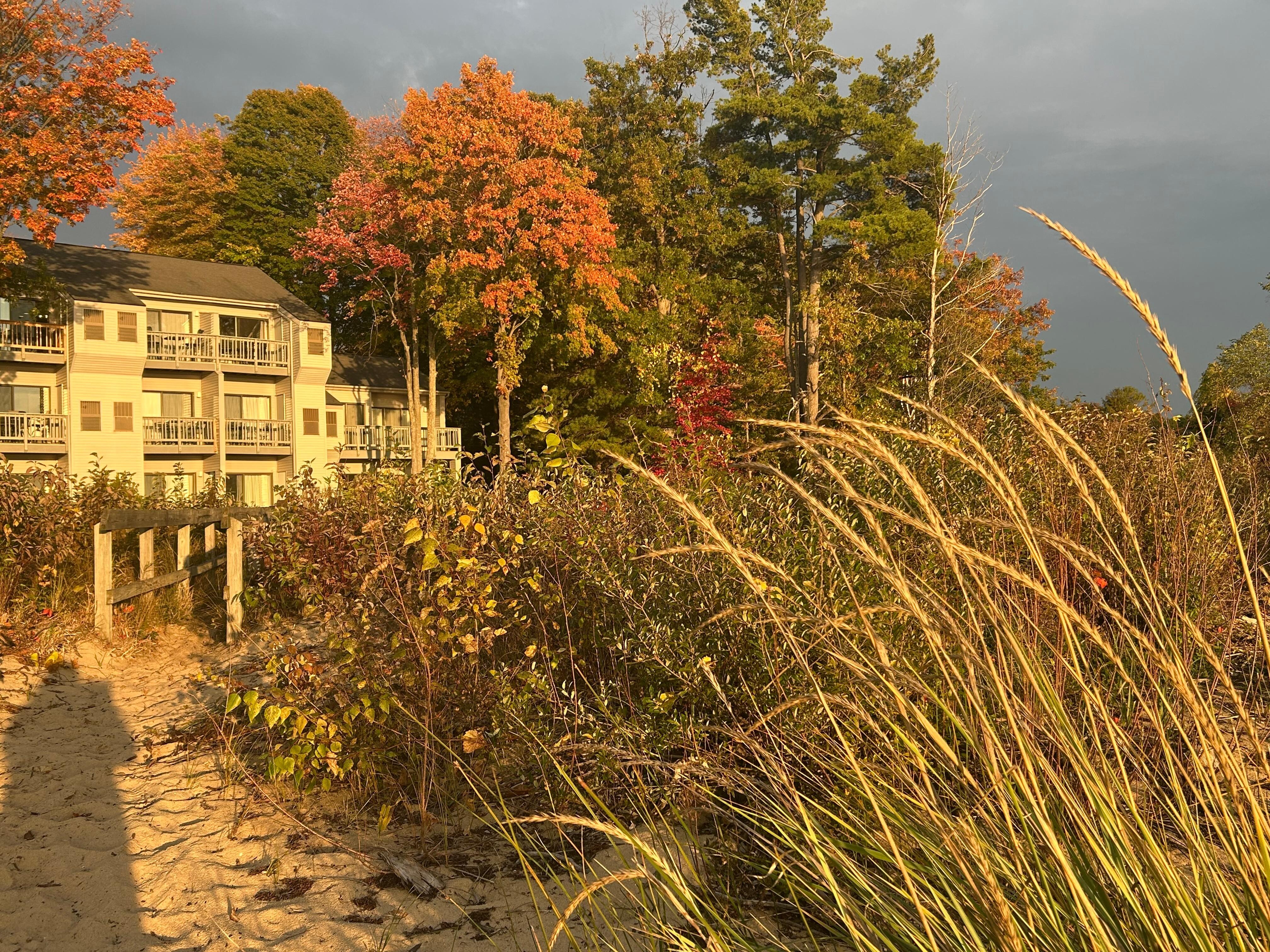 View of the condo, taken from the beach