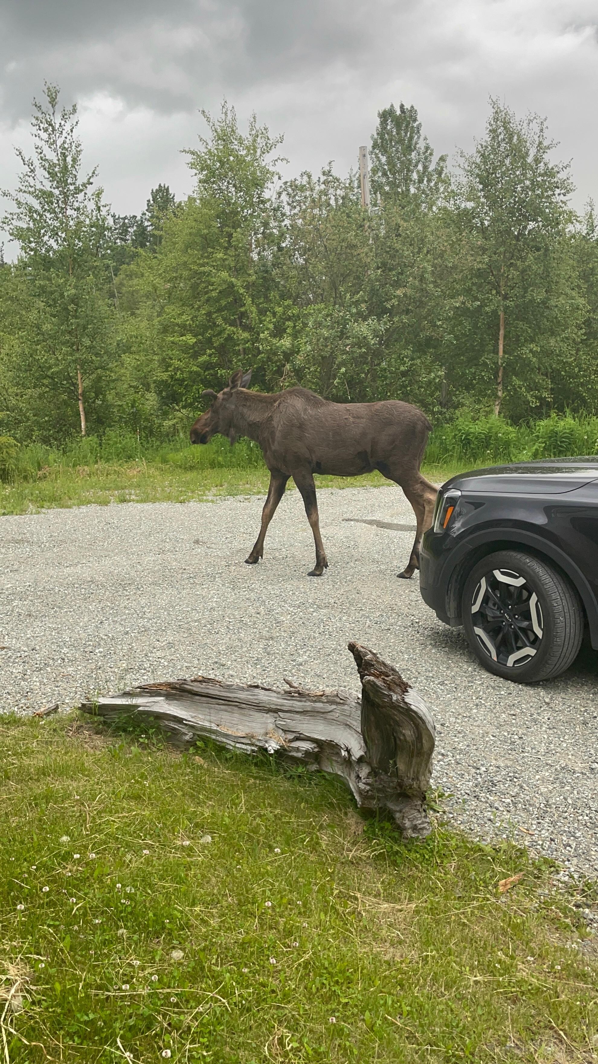 Our much anticipated visitor