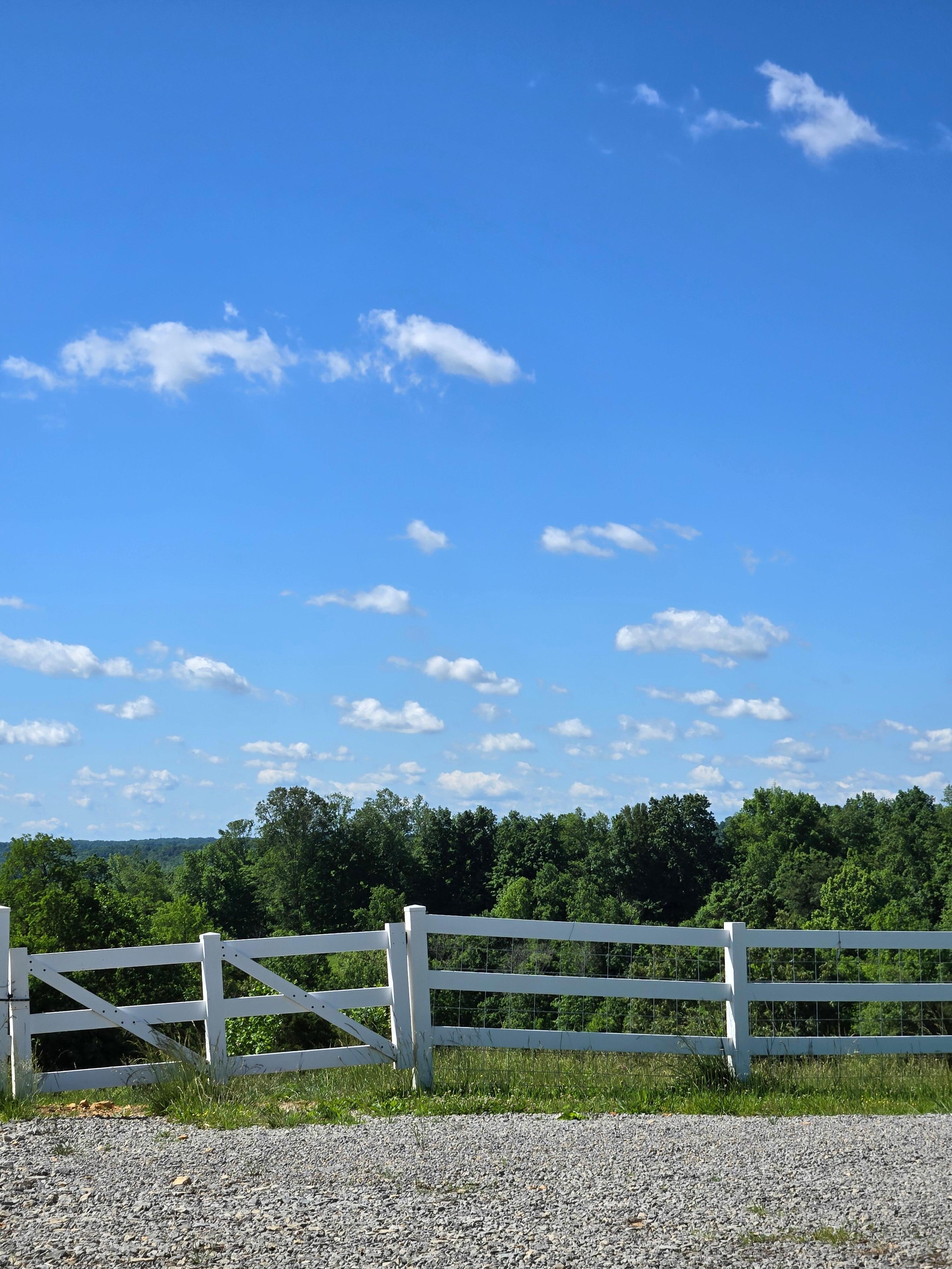 The view every morning, noon & night from our outdoor table!
