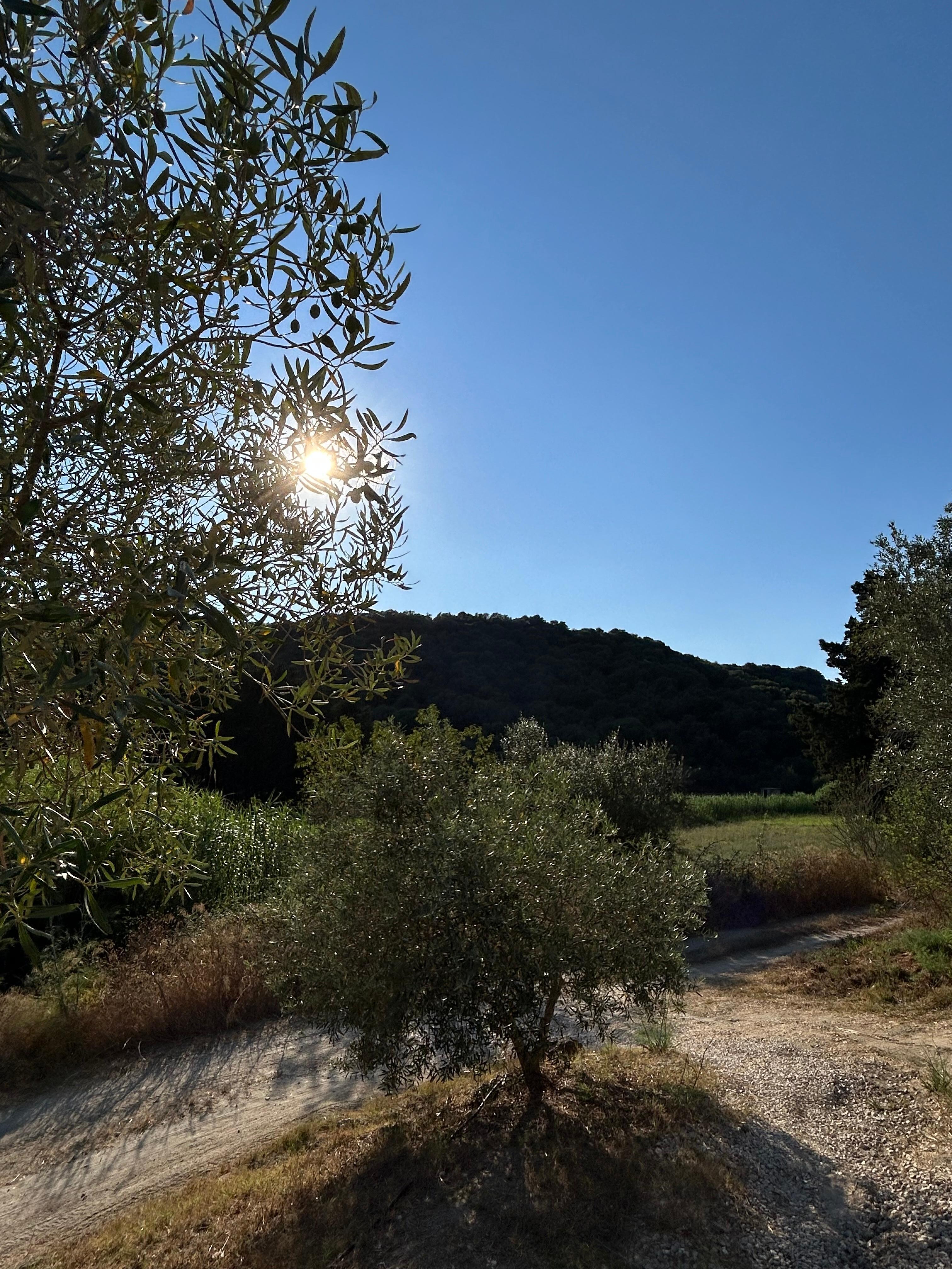 Tucked away off the beaten track