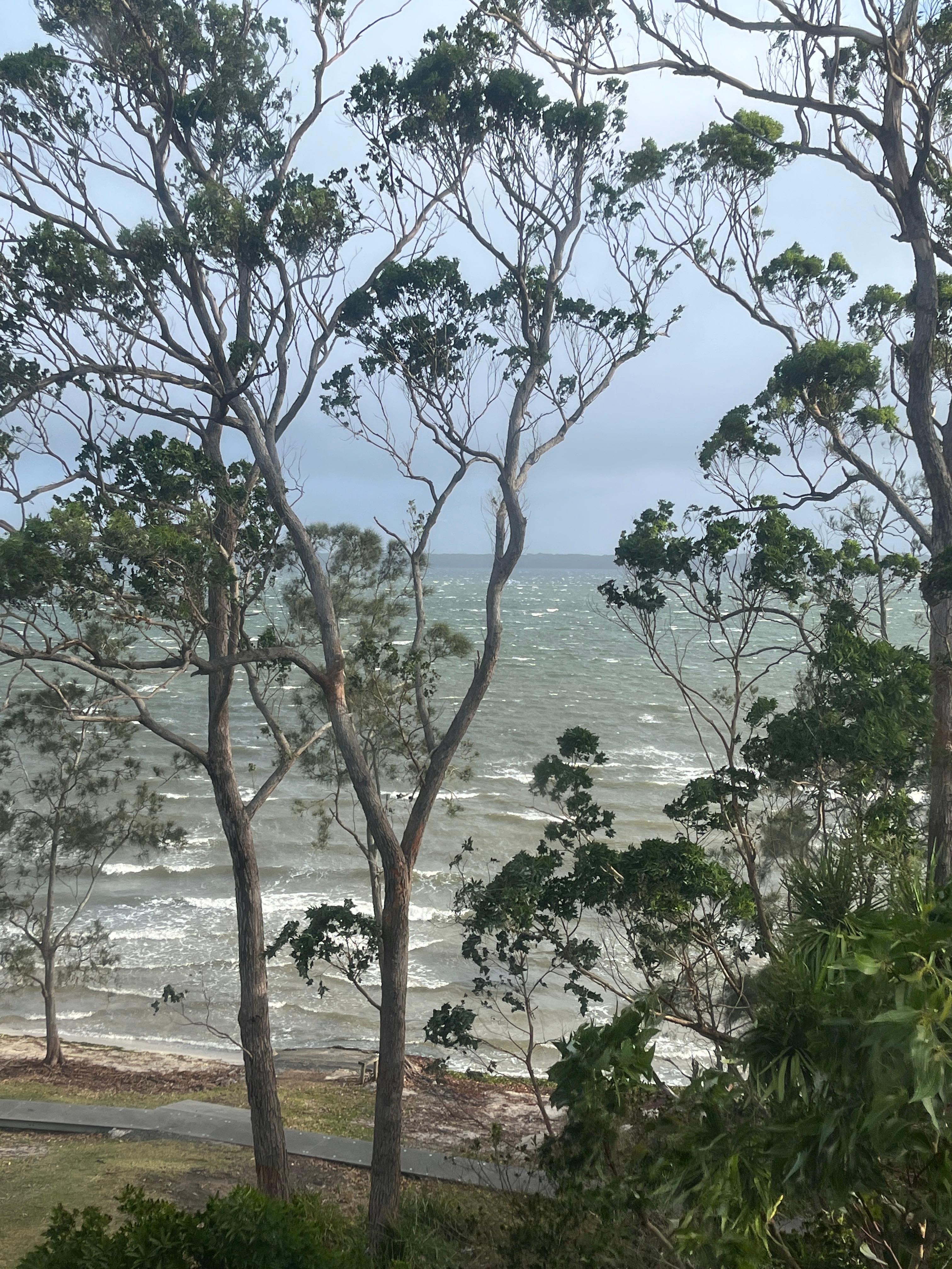 View from the dining room