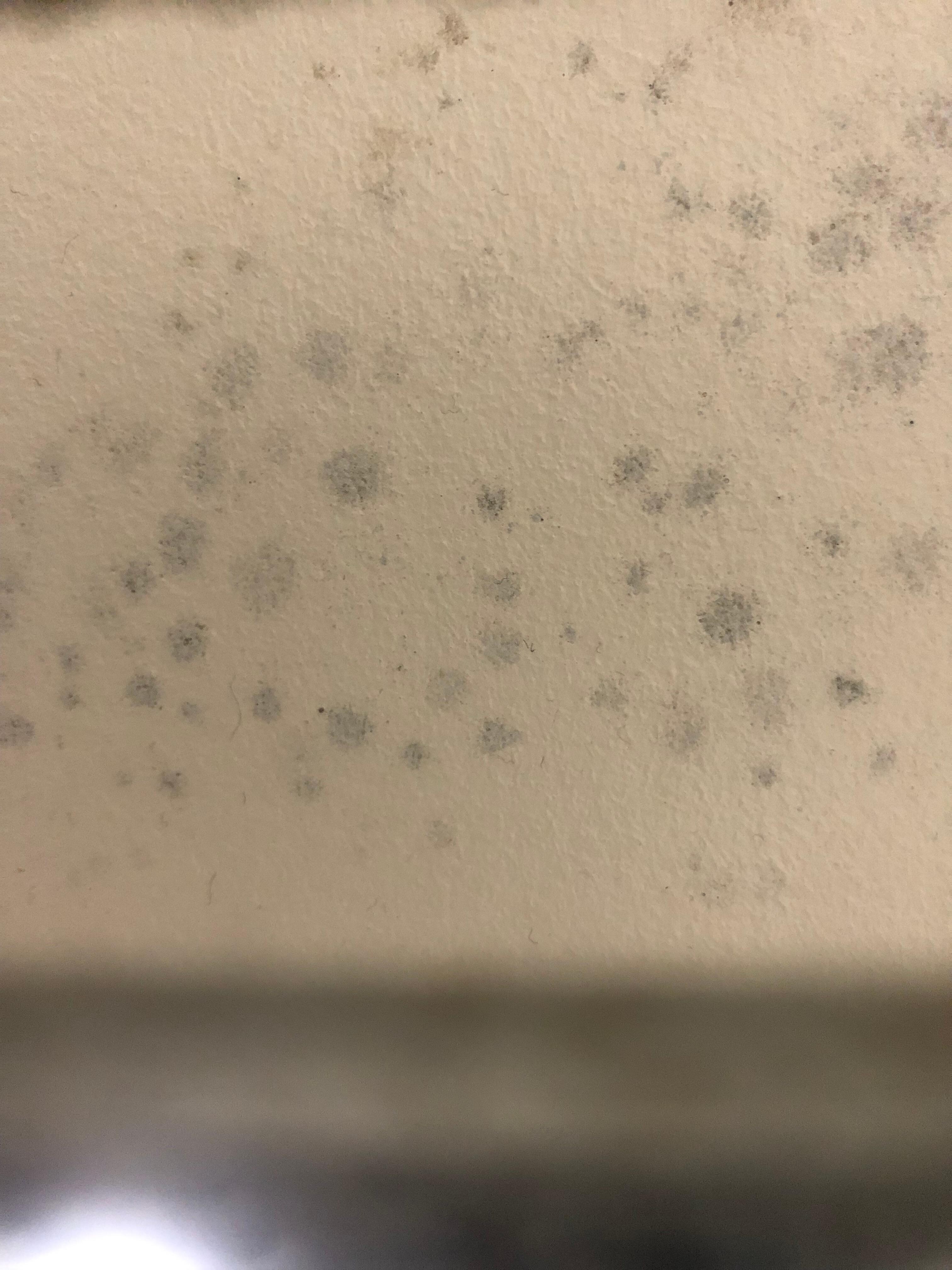 Mould in bathroom