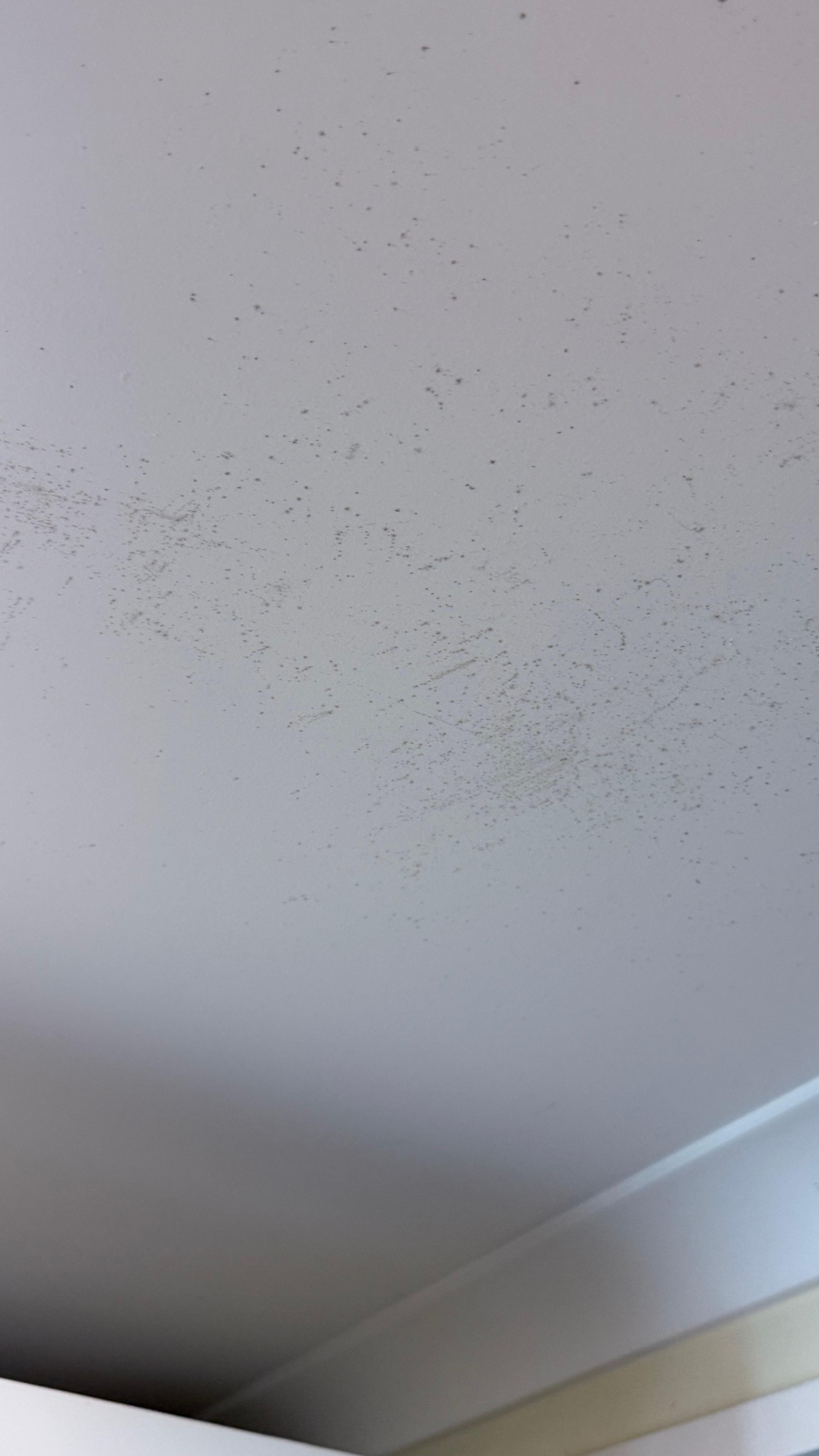 Black mould
Bathroom