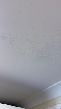 Black mould
Bathroom