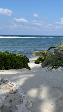 Looking out from the patio