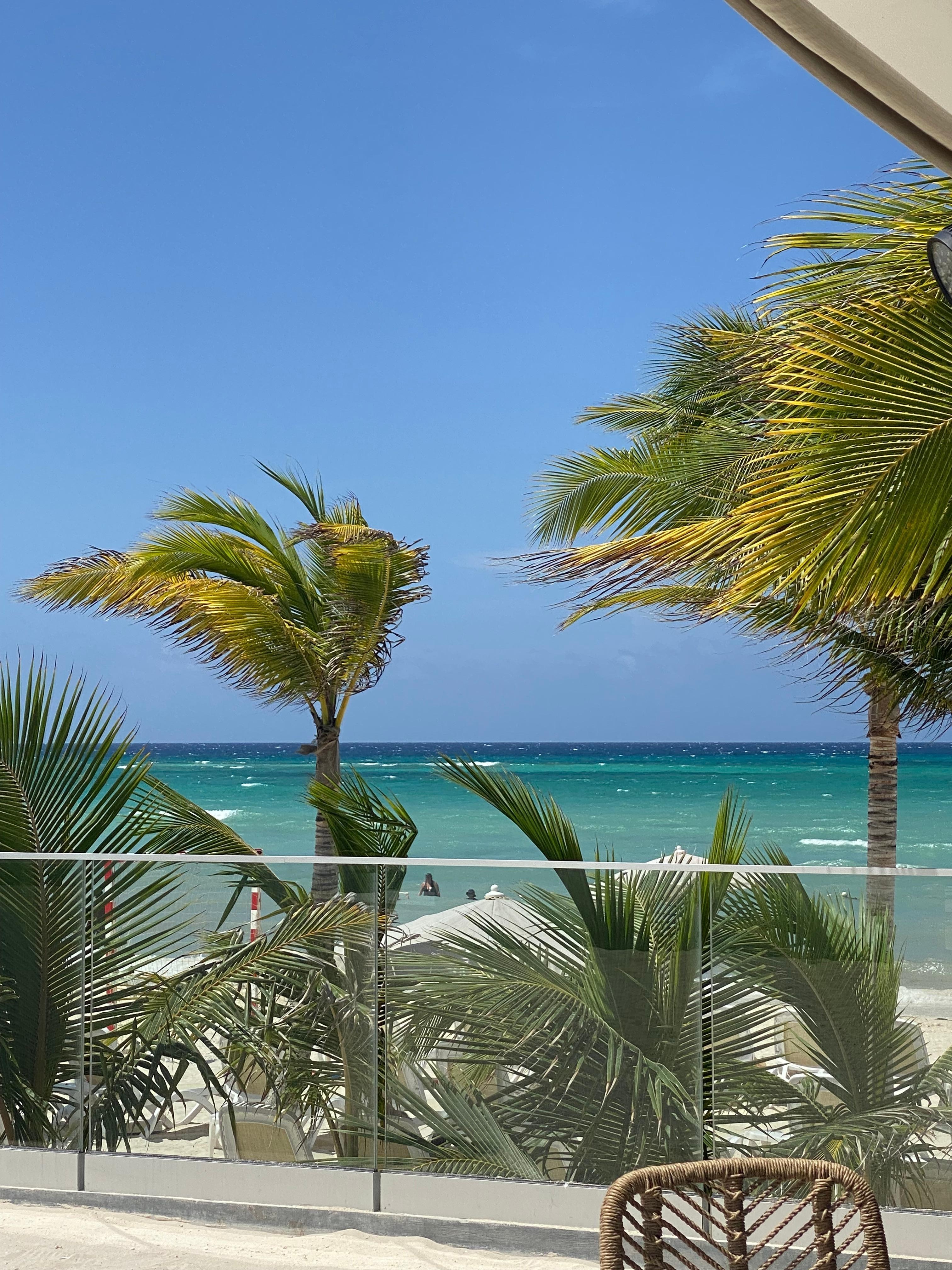 View from Loungers by the pool