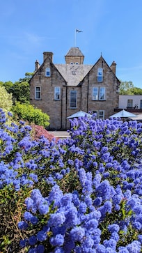Gorgeous gardens