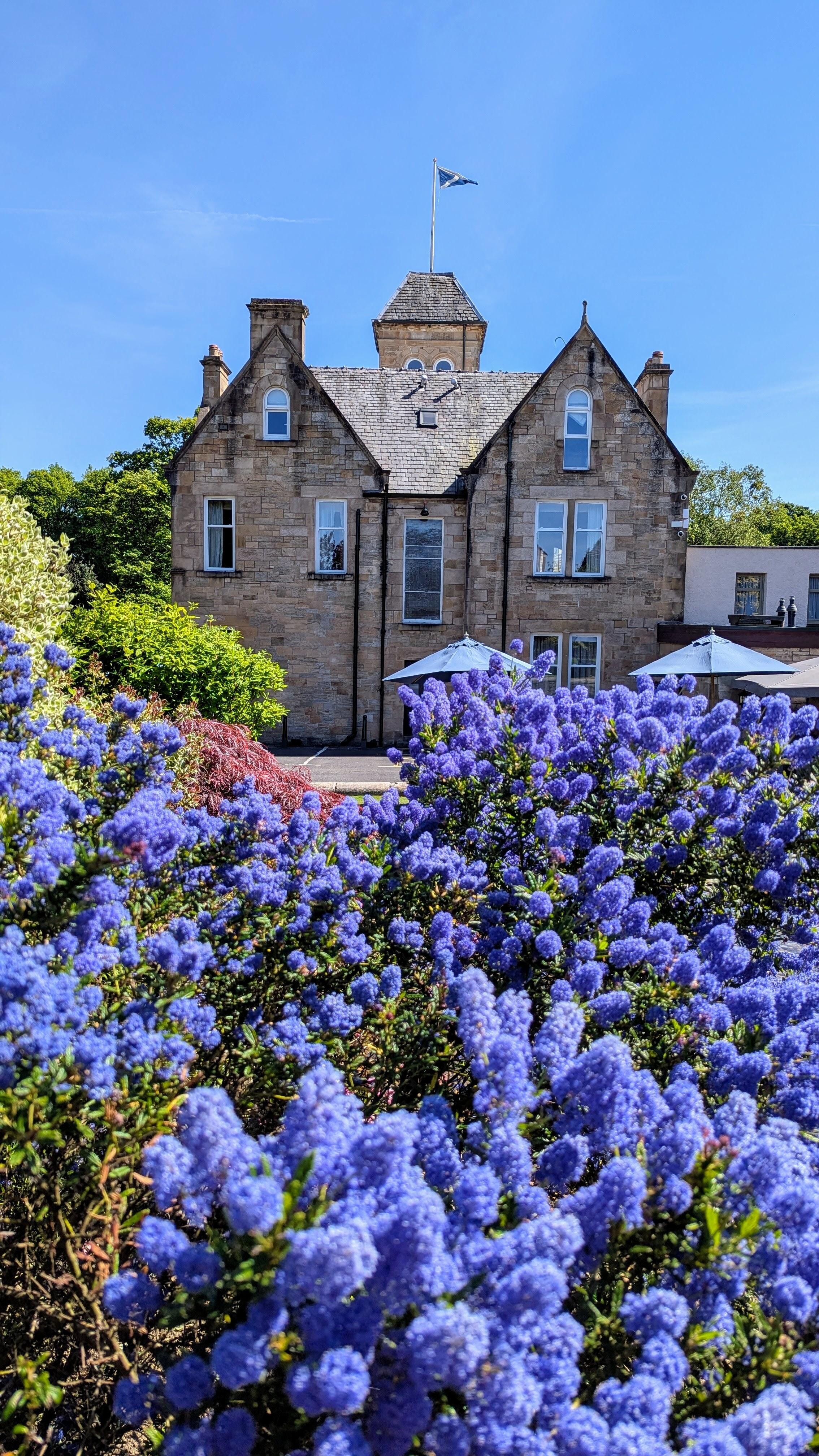 Gorgeous gardens