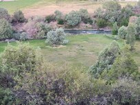 Awesome river with regular wildlife