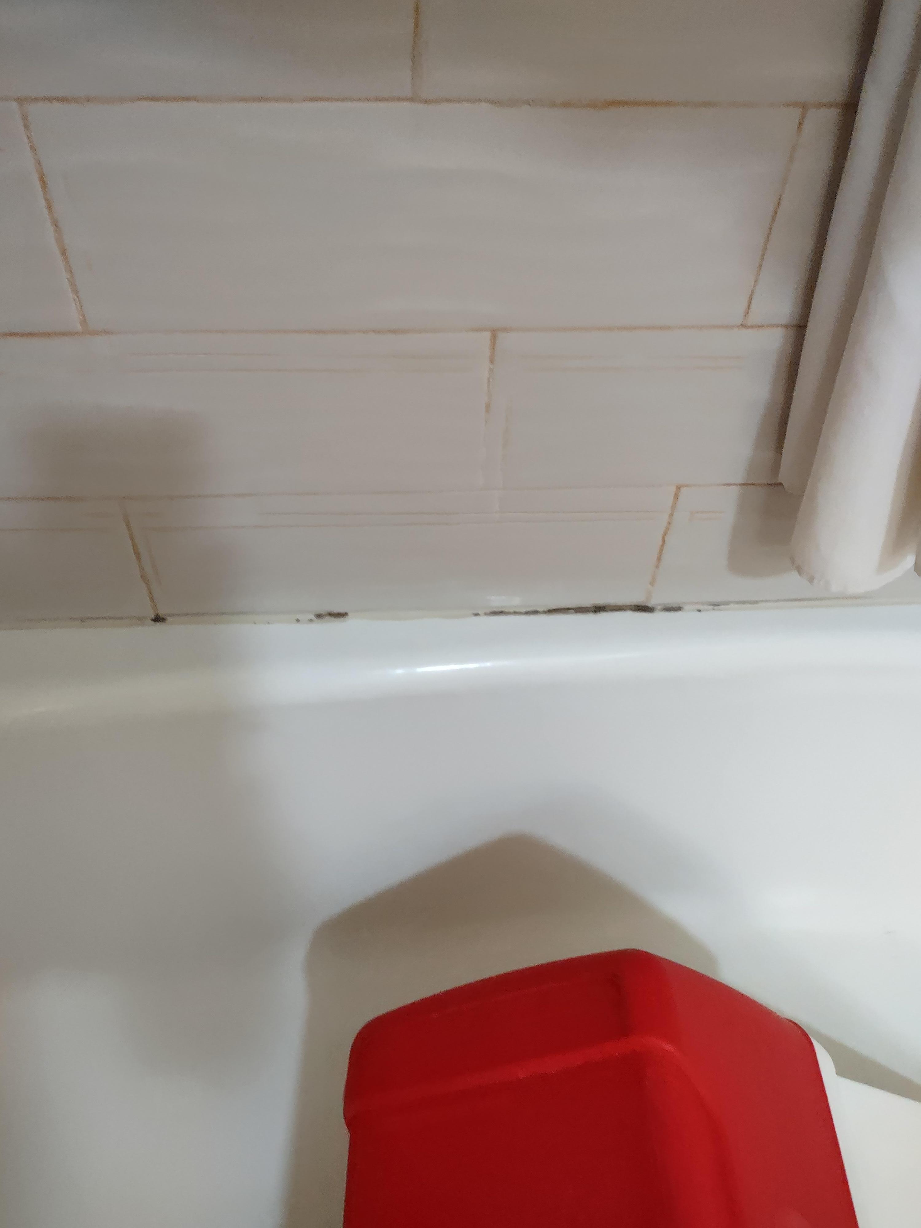 Black mold/mildew on the tub