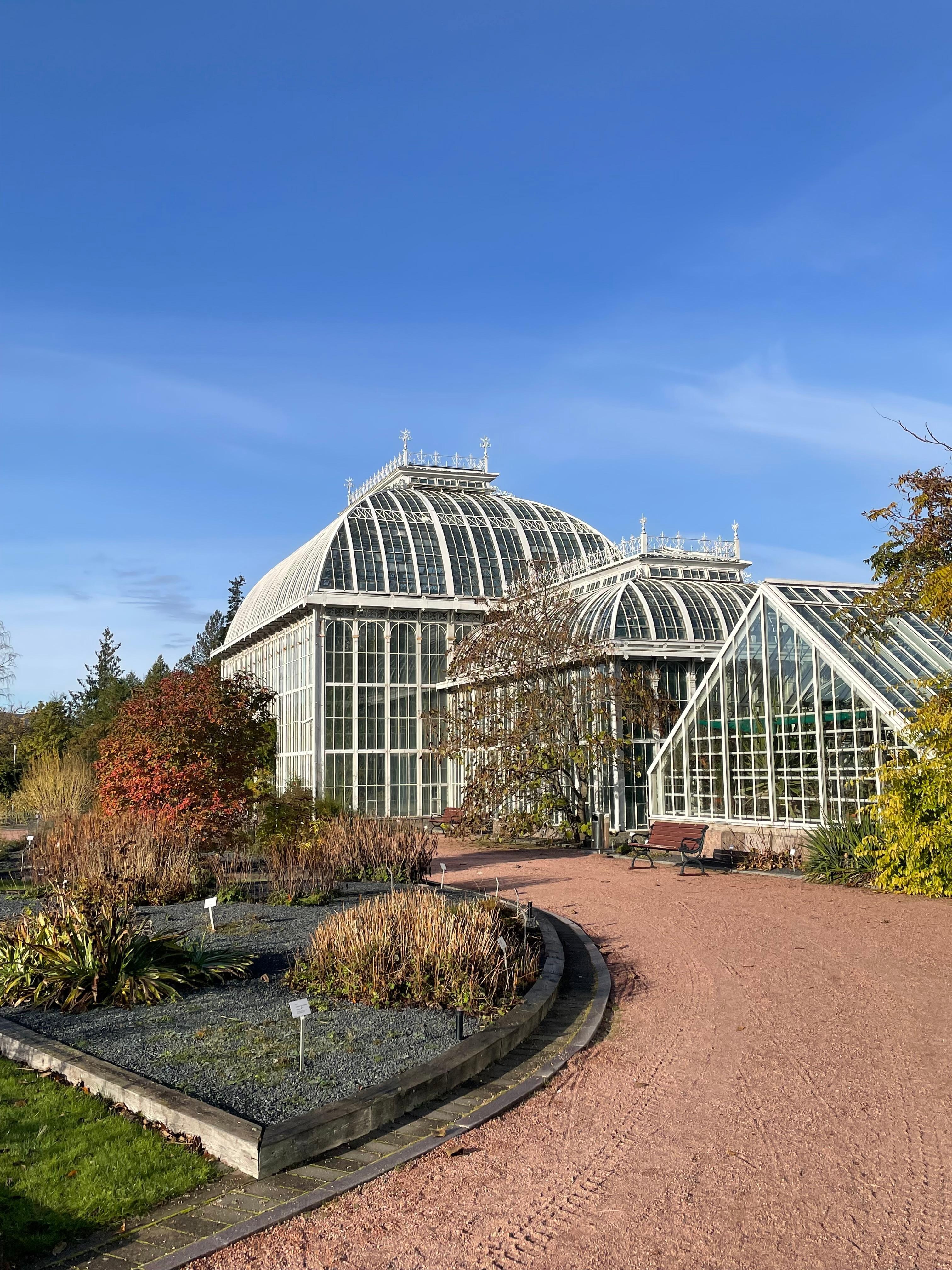 Palm House at the Botanic Garden 